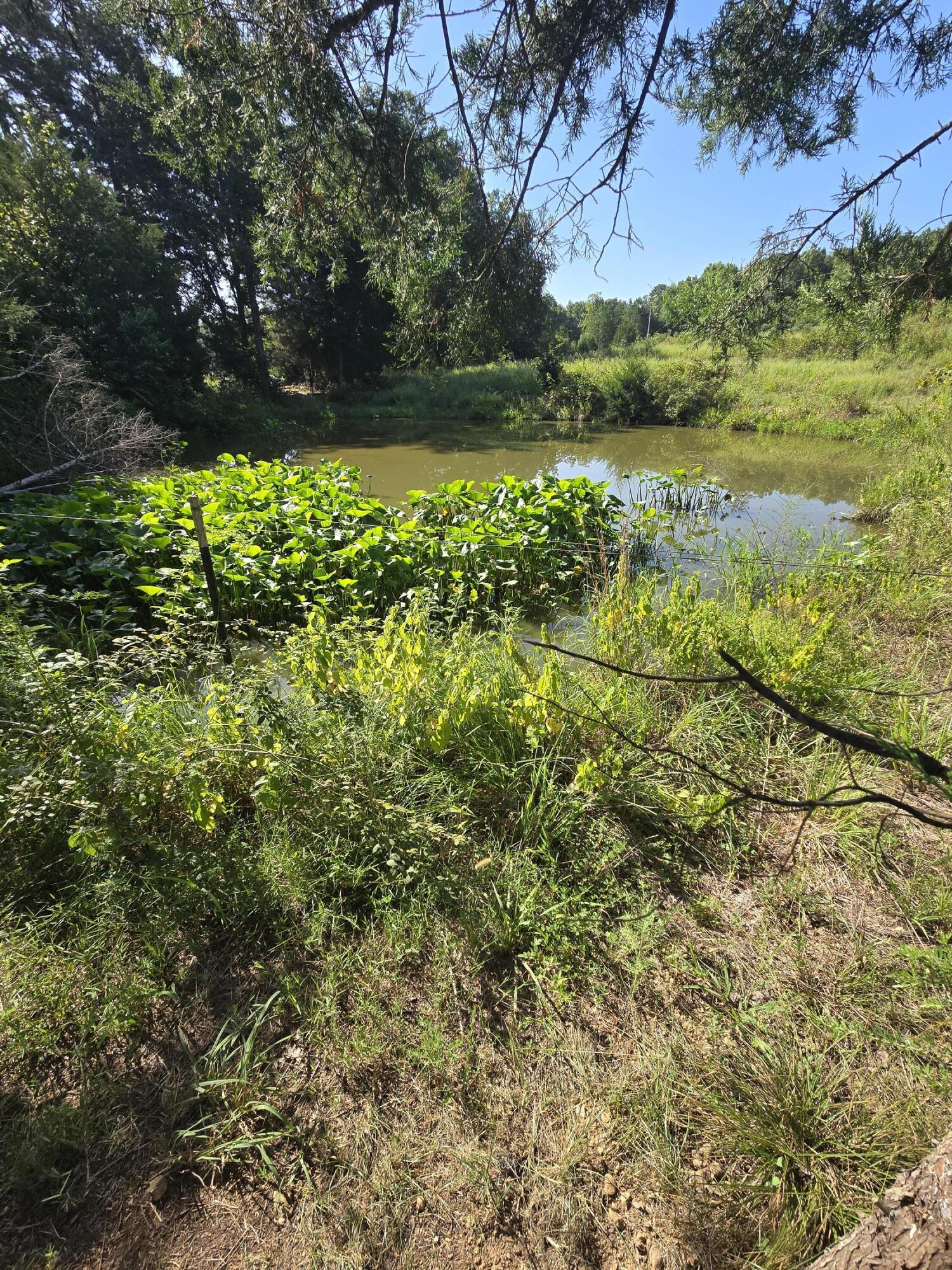 main property photo 30