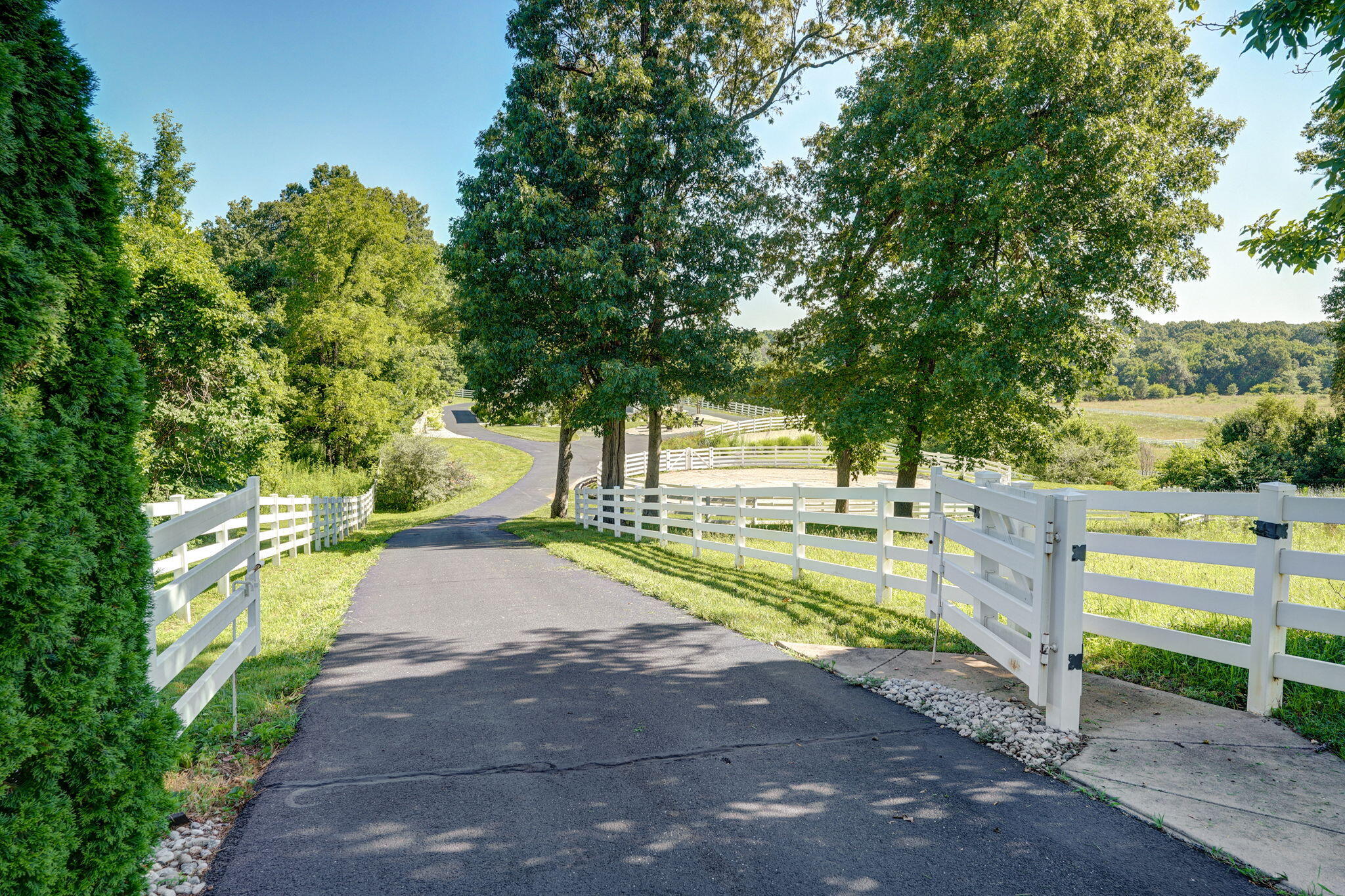 main property photo 146