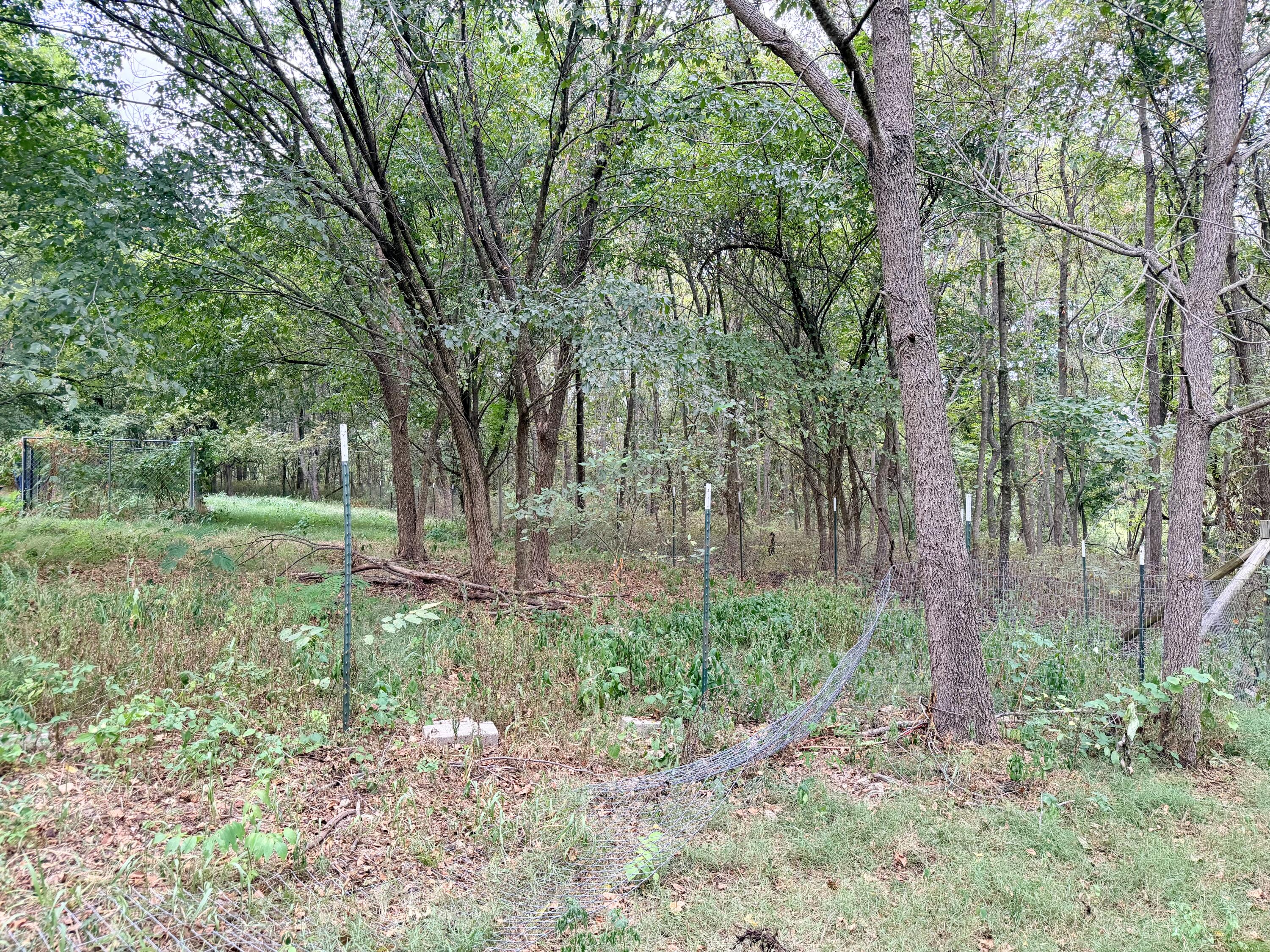 main property photo 10
