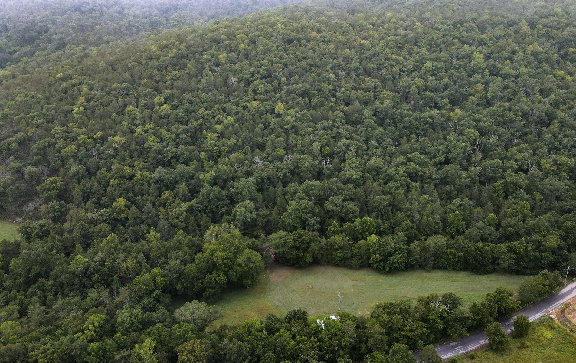 main property photo 3