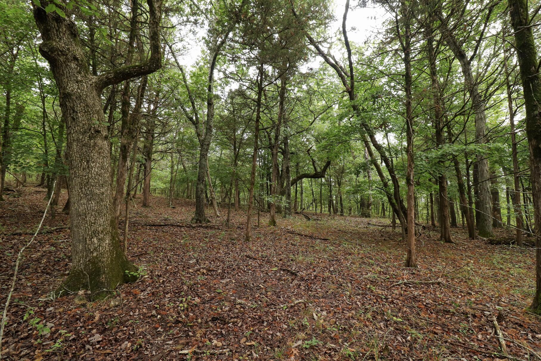 main property photo 37