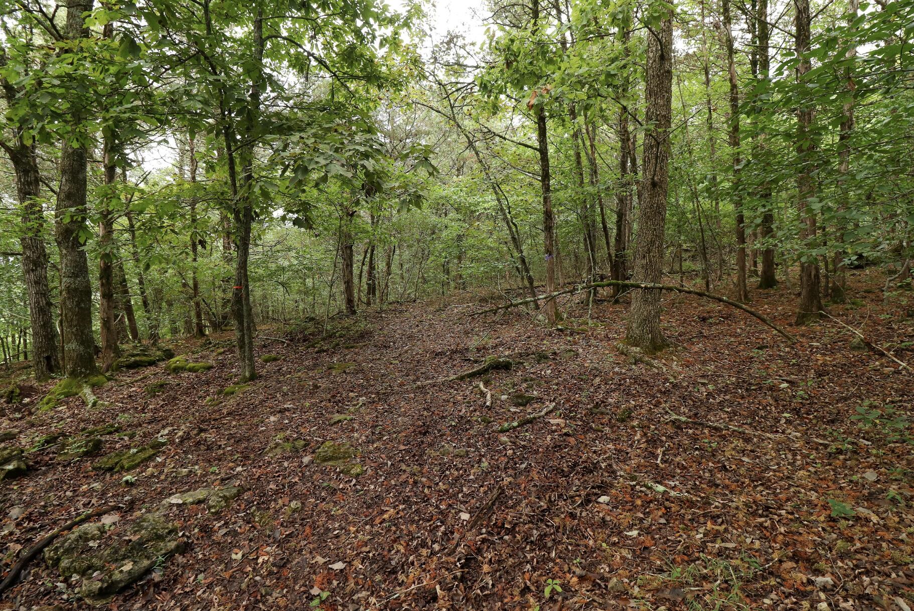 main property photo 38