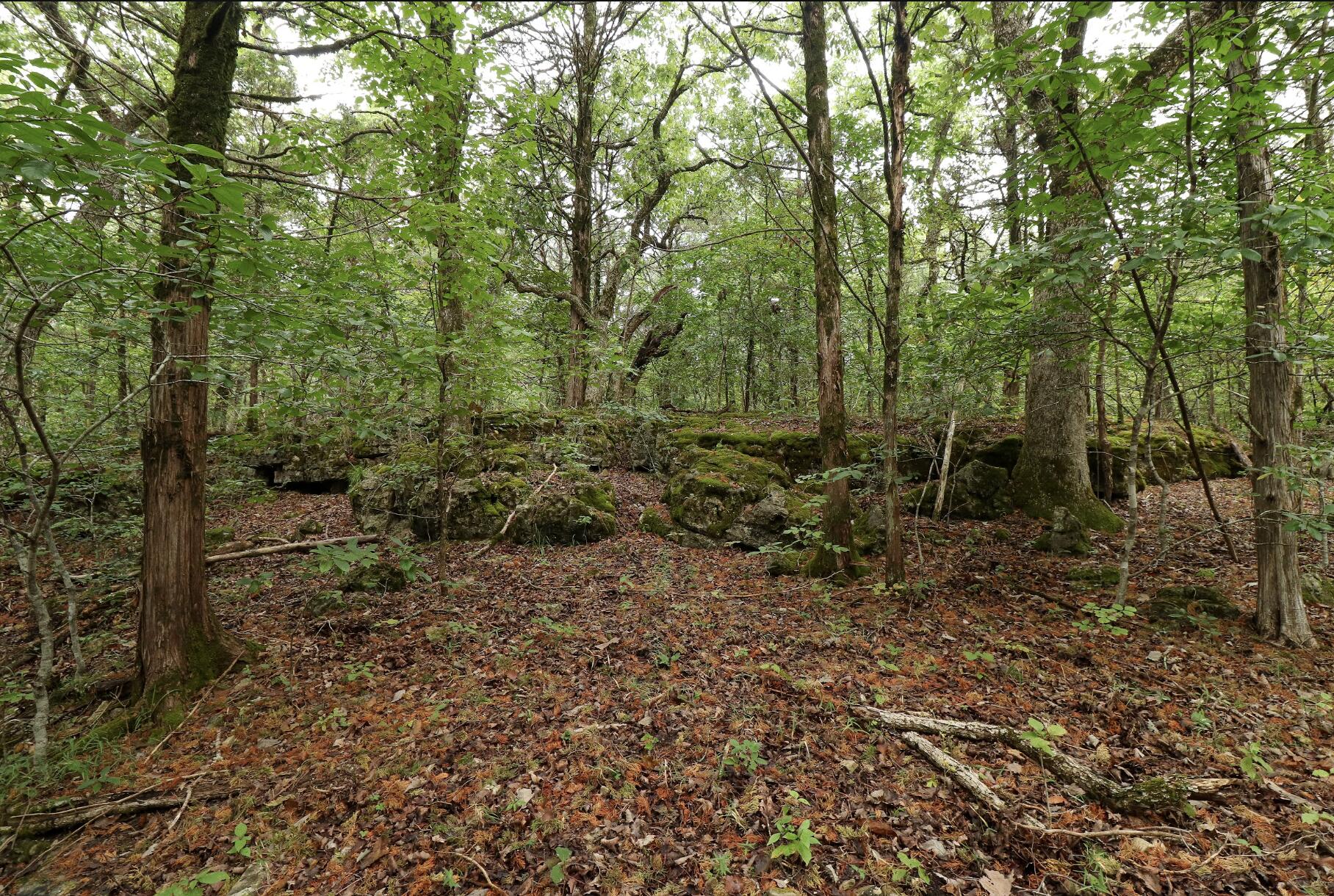 main property photo 39
