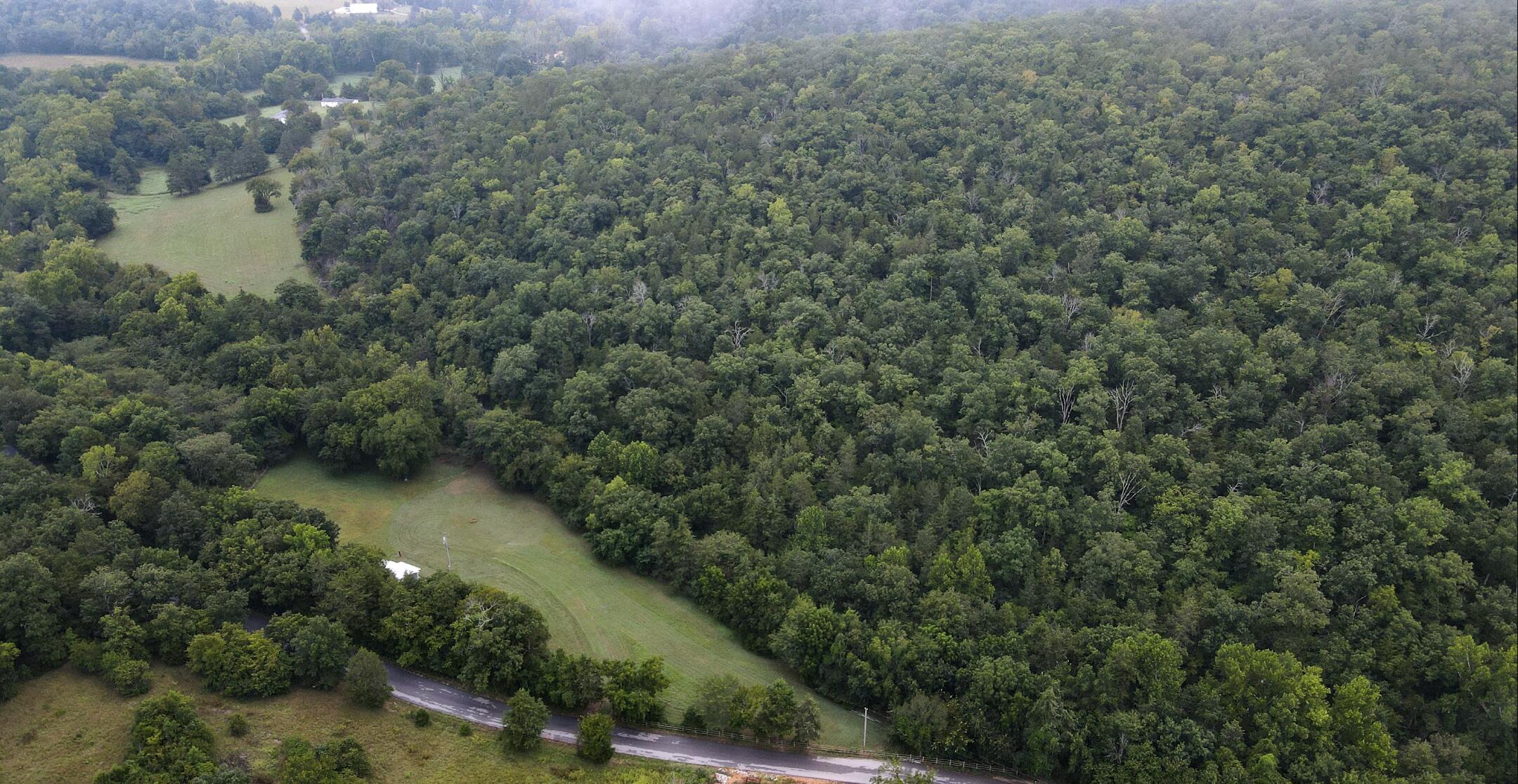 main property photo 4
