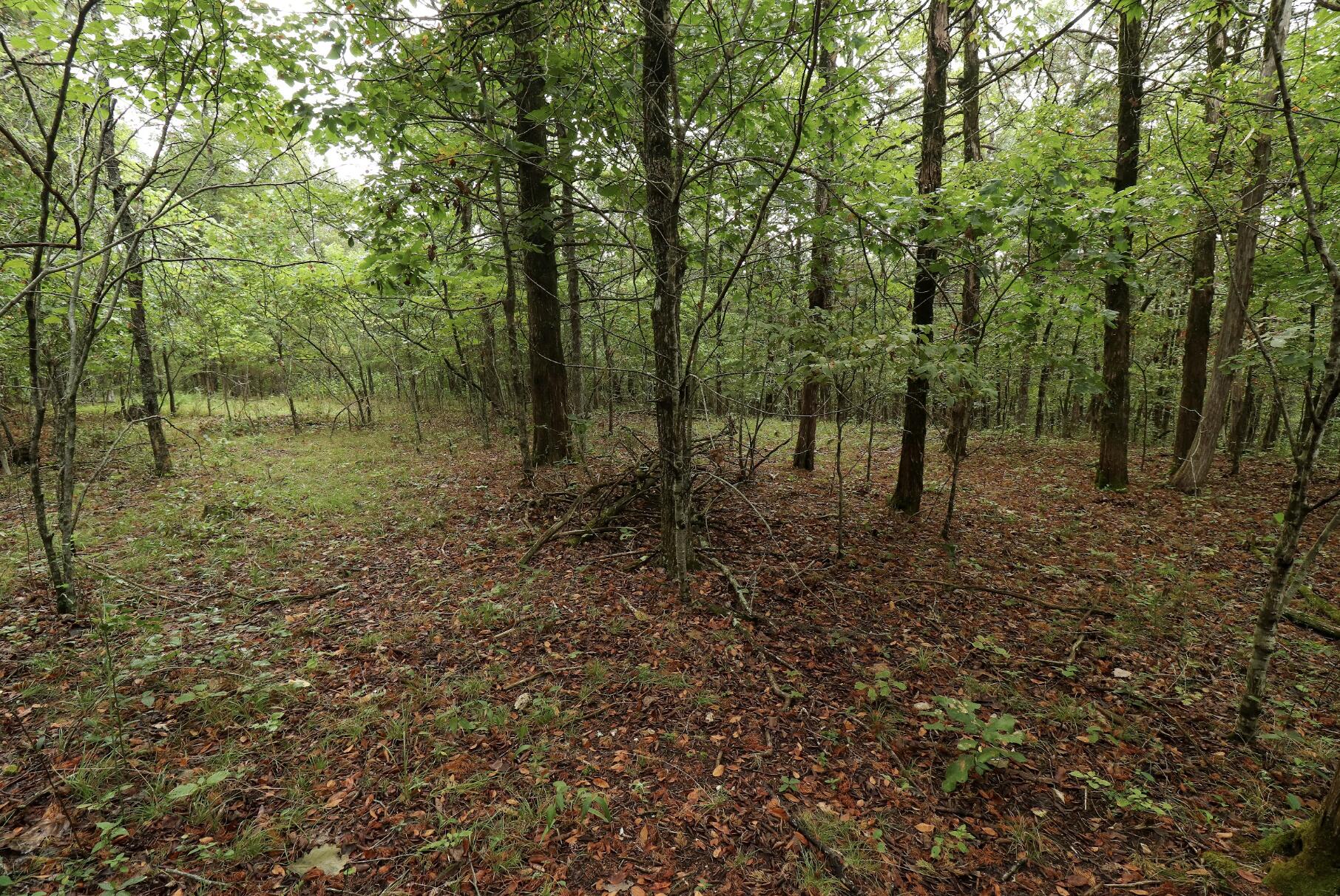 main property photo 40