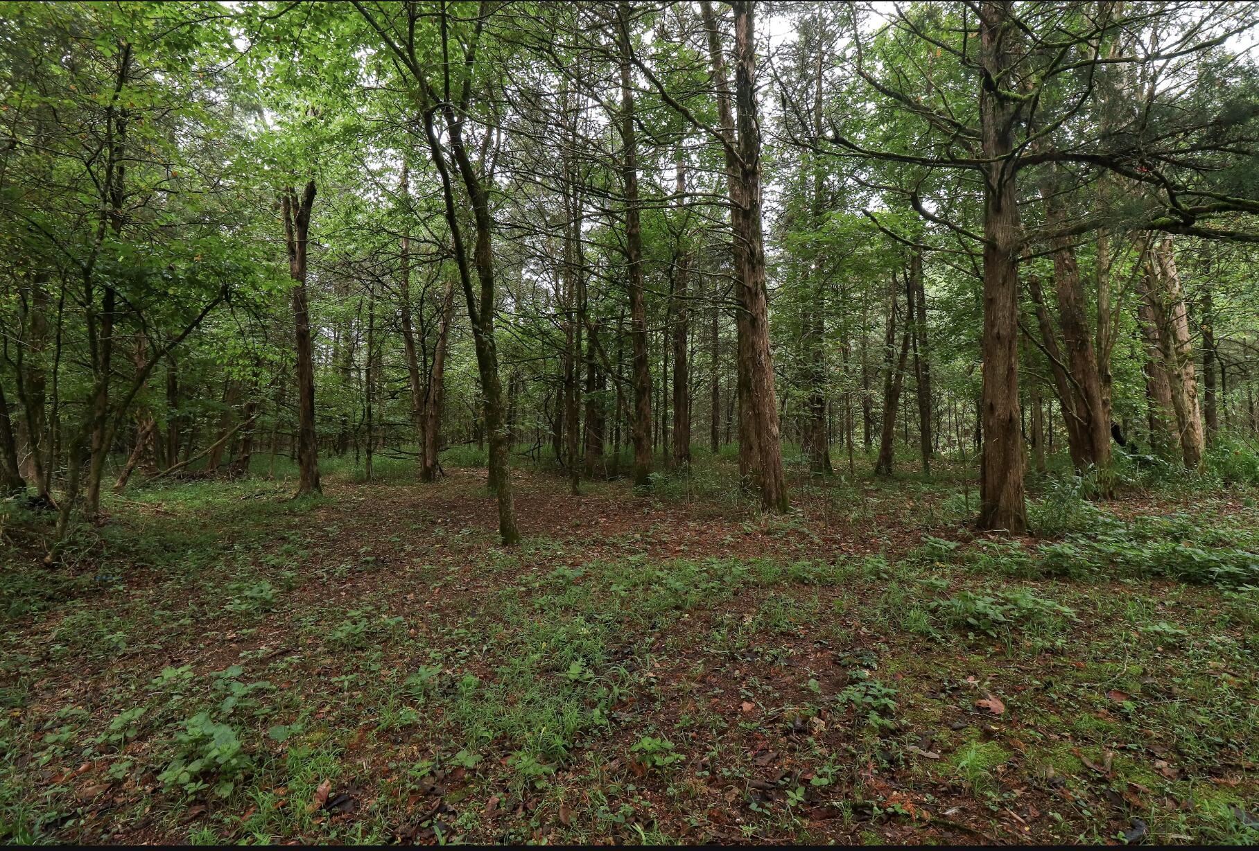 main property photo 43