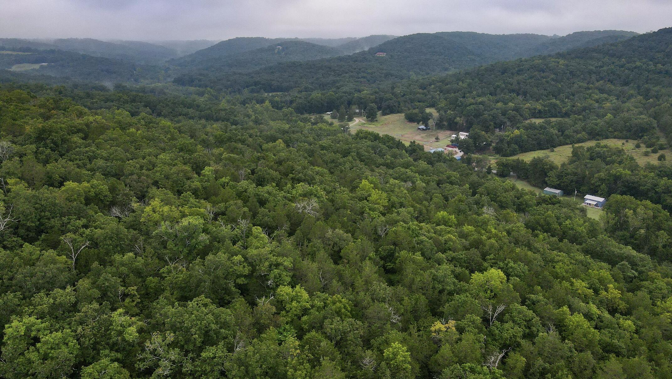 main property photo 47