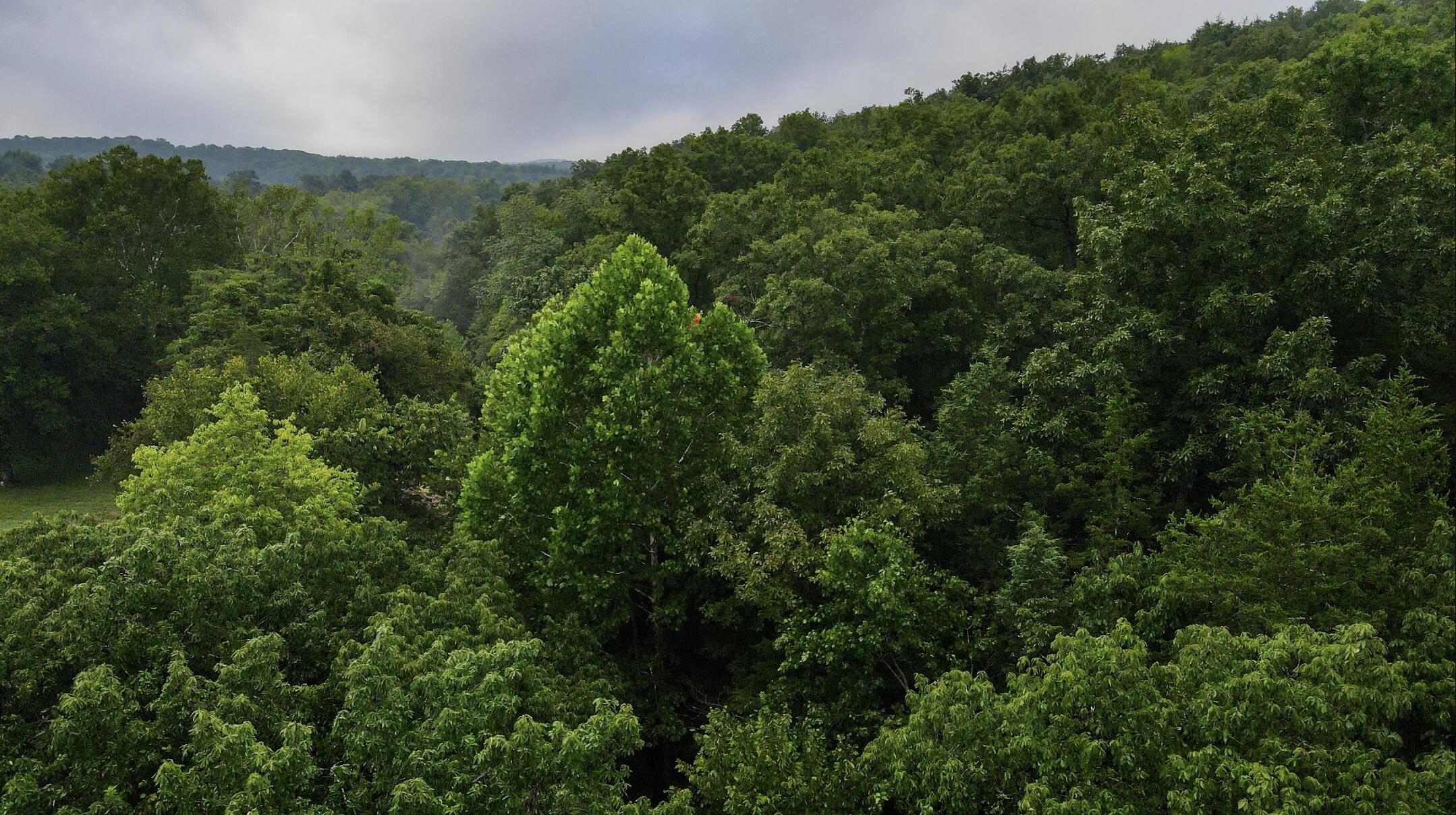 main property photo 50