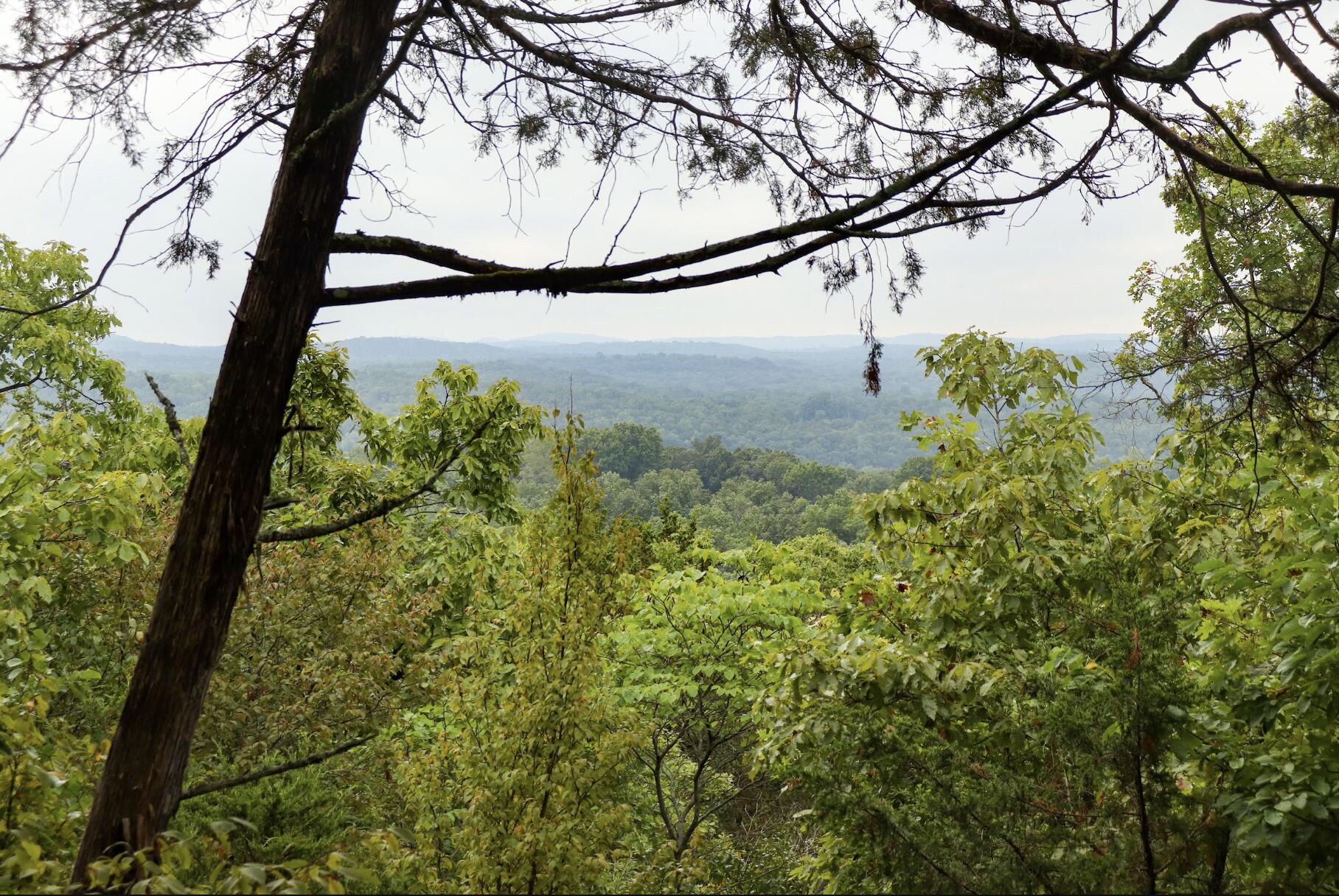 main property photo 51