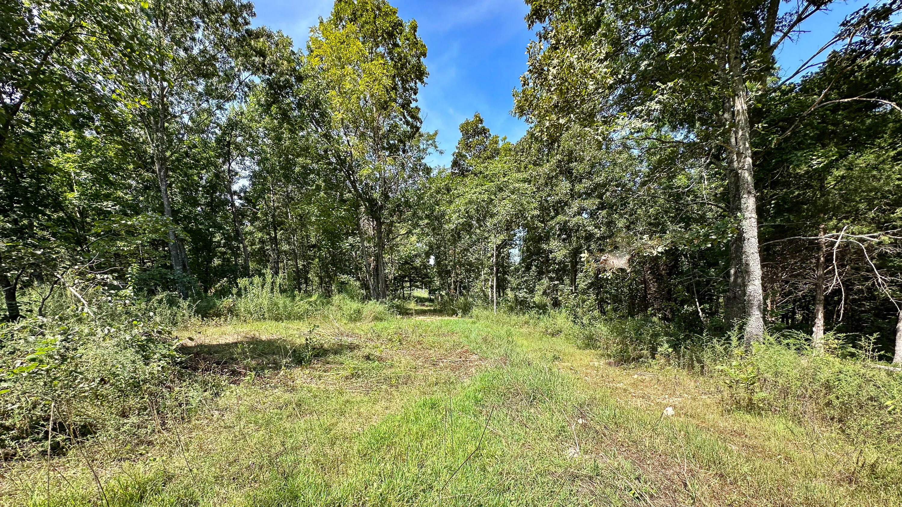 main property photo 23
