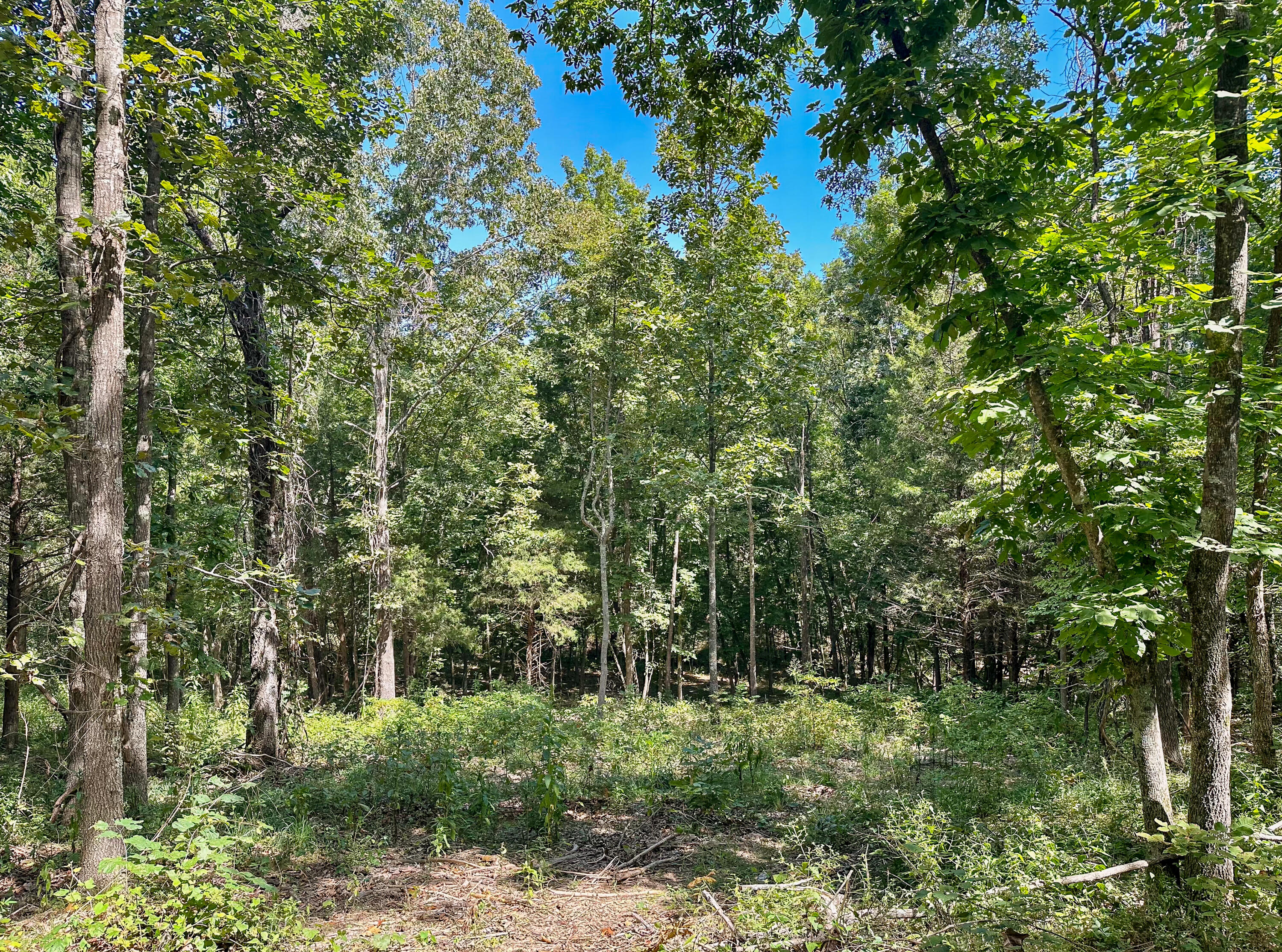 main property photo 26