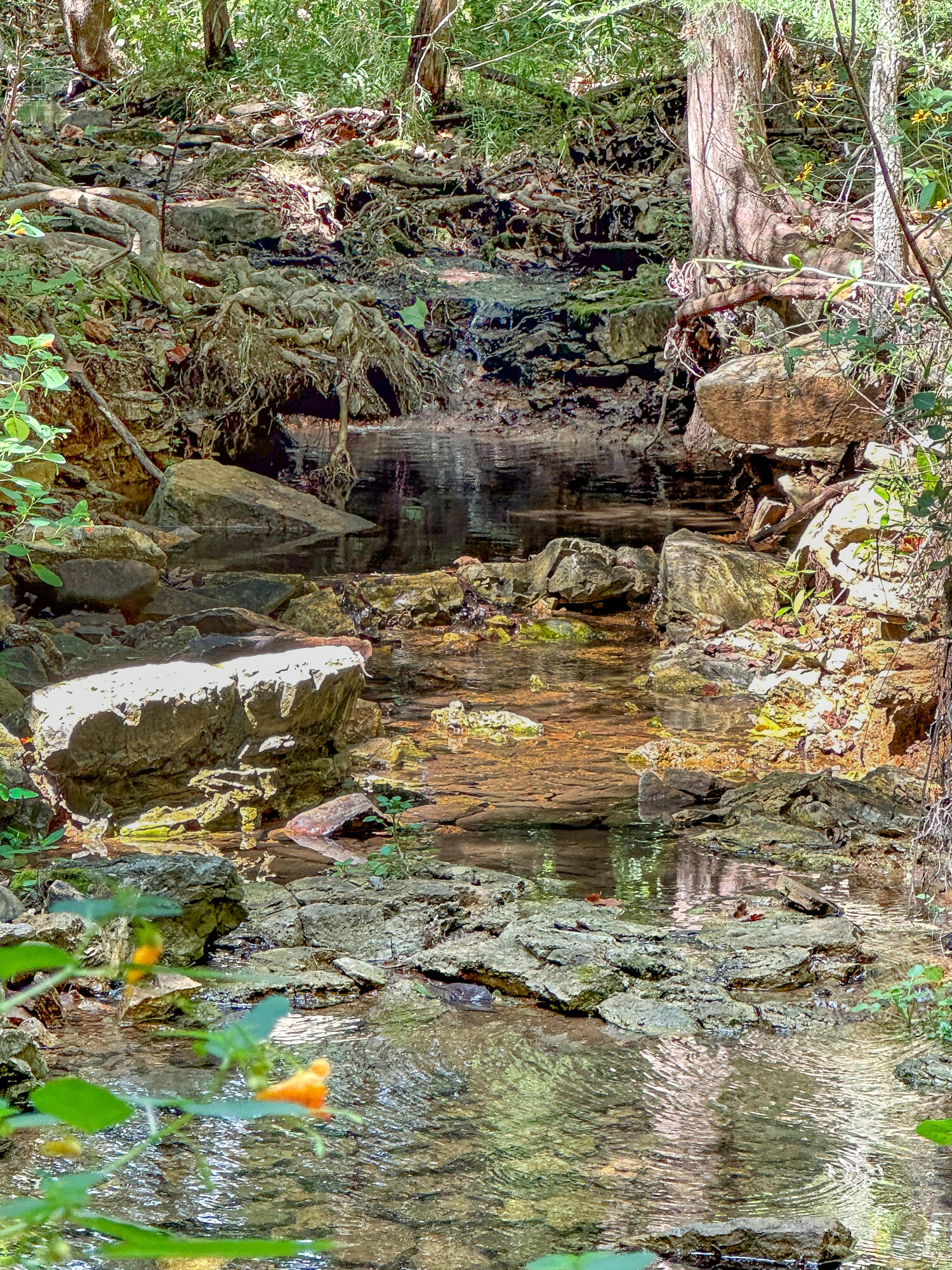 main property photo 30