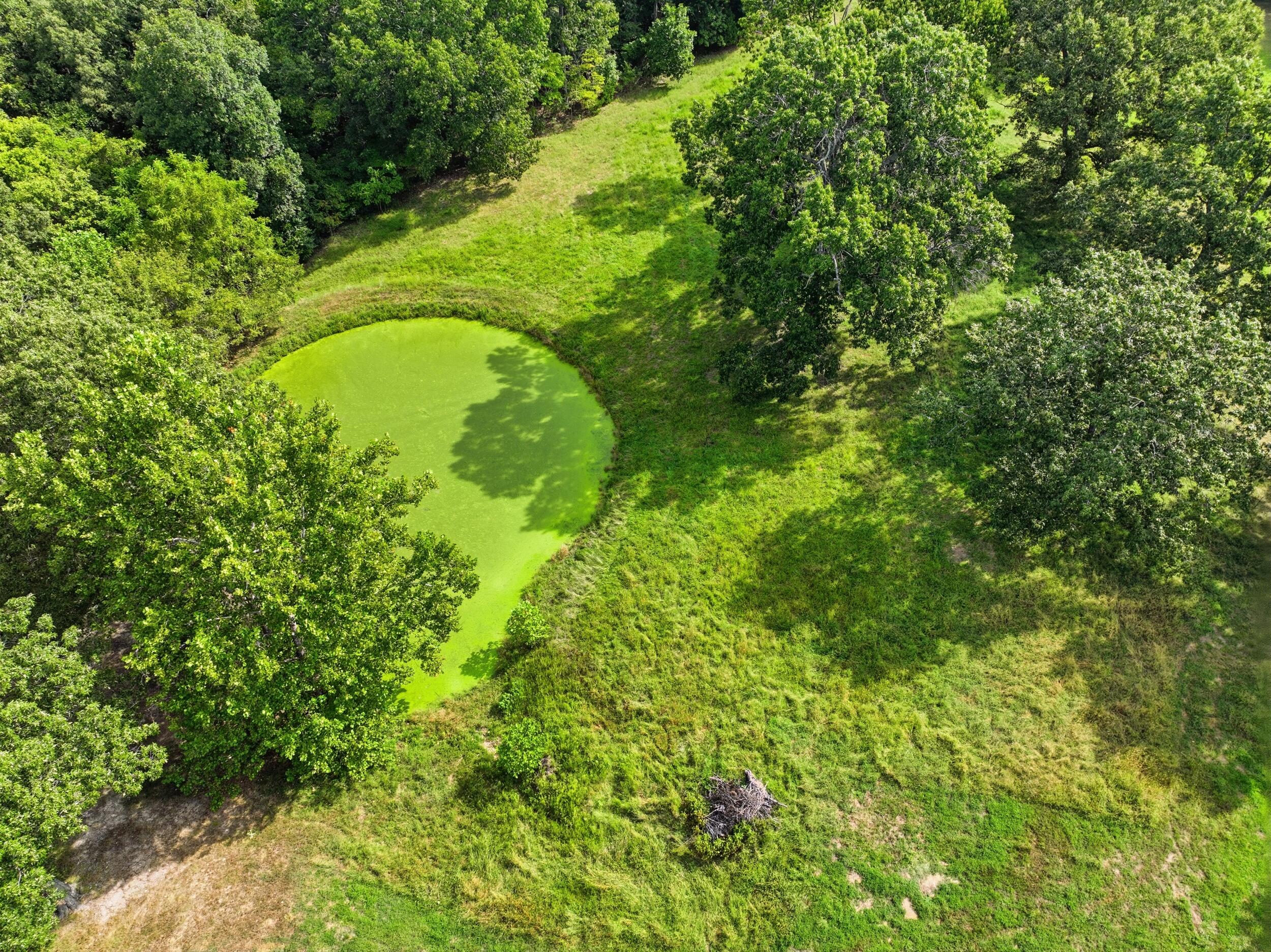 main property photo 41