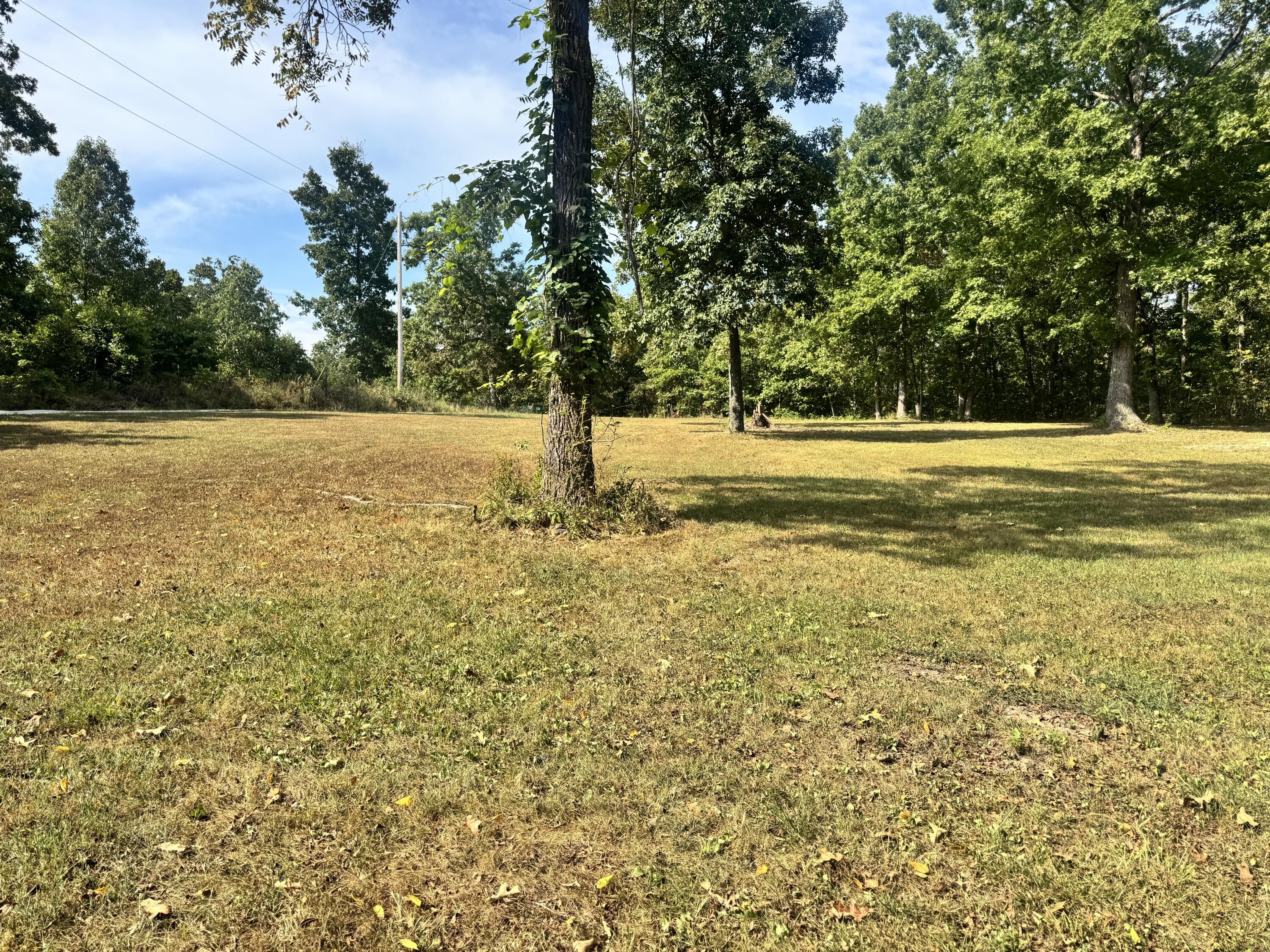 main property photo 31