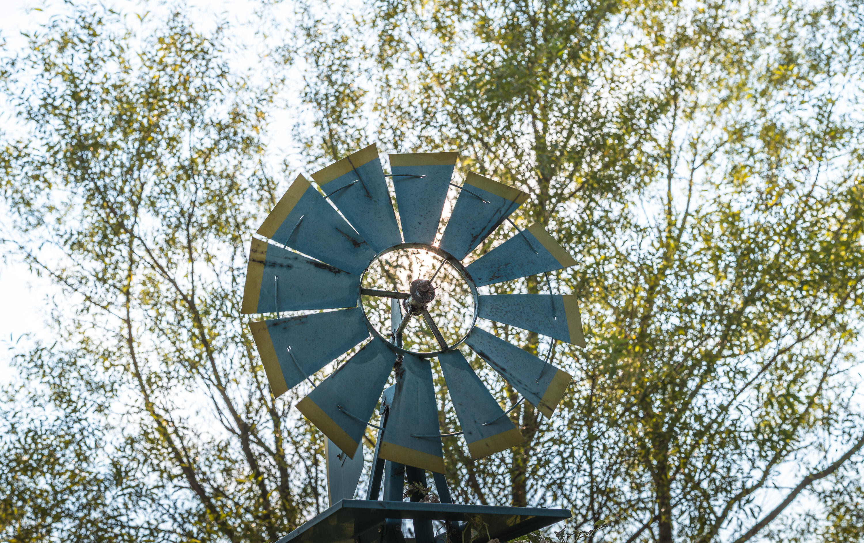main property photo 59
