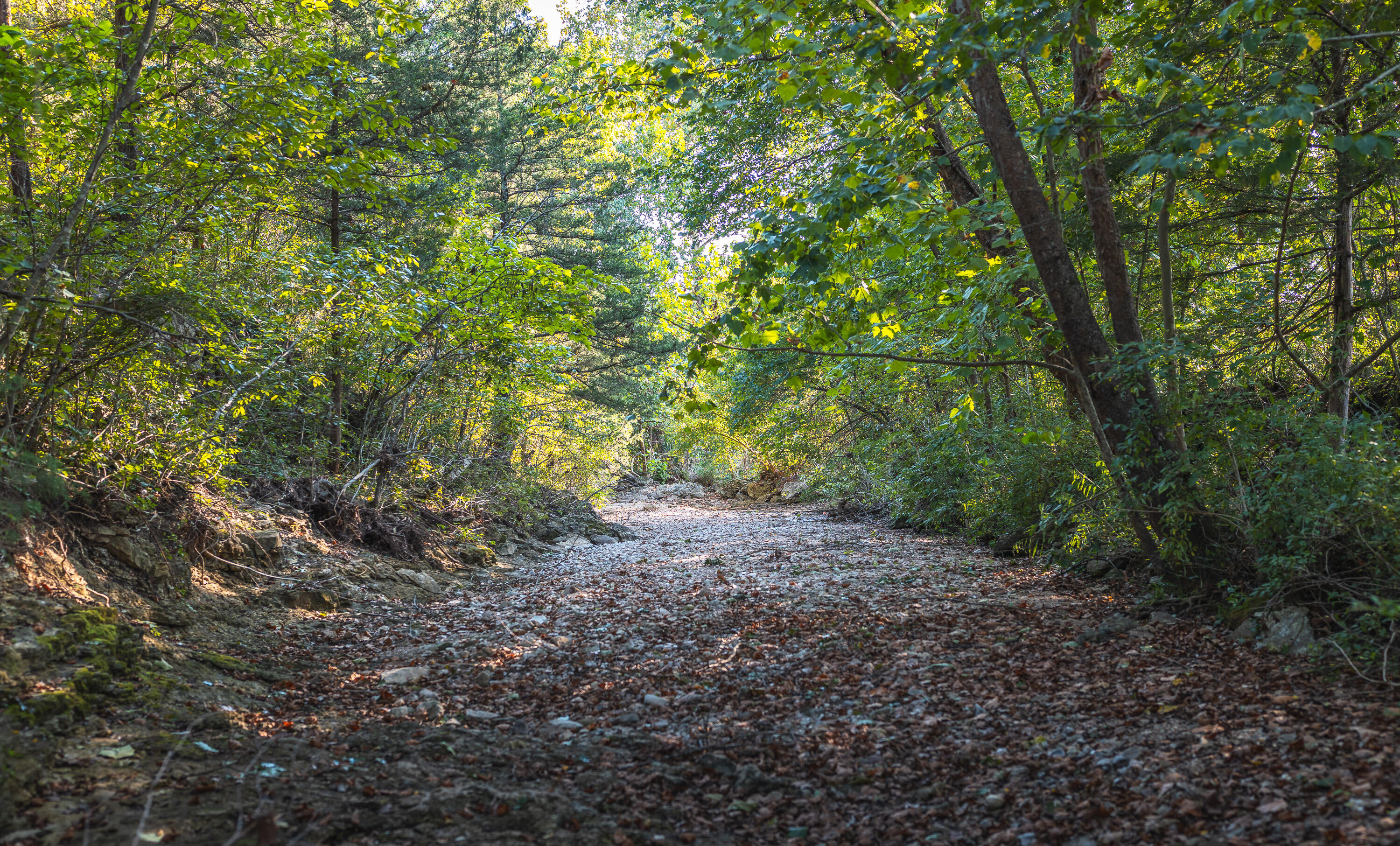main property photo 64