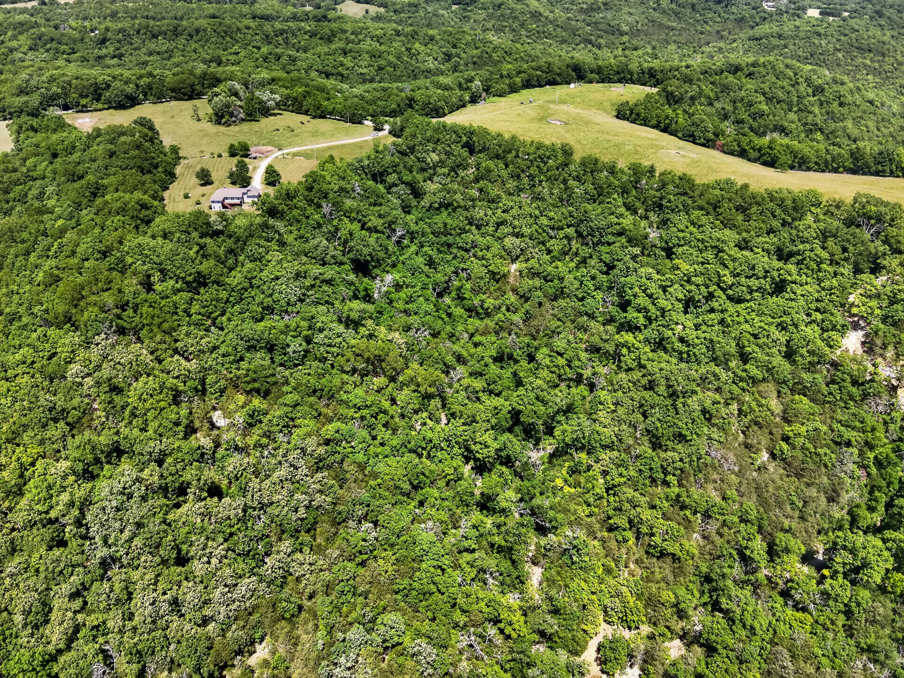 main property photo 49