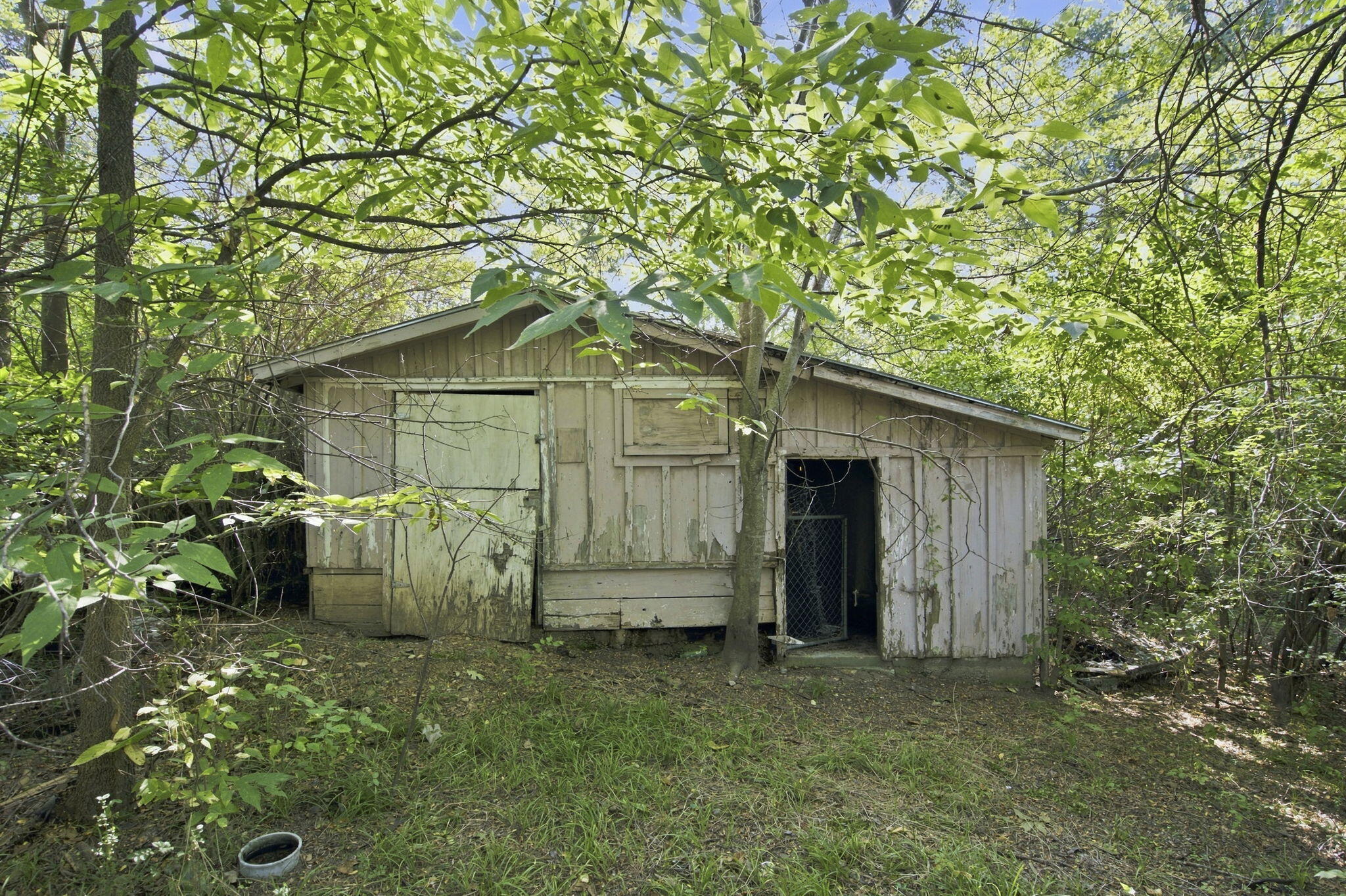 main property photo 4