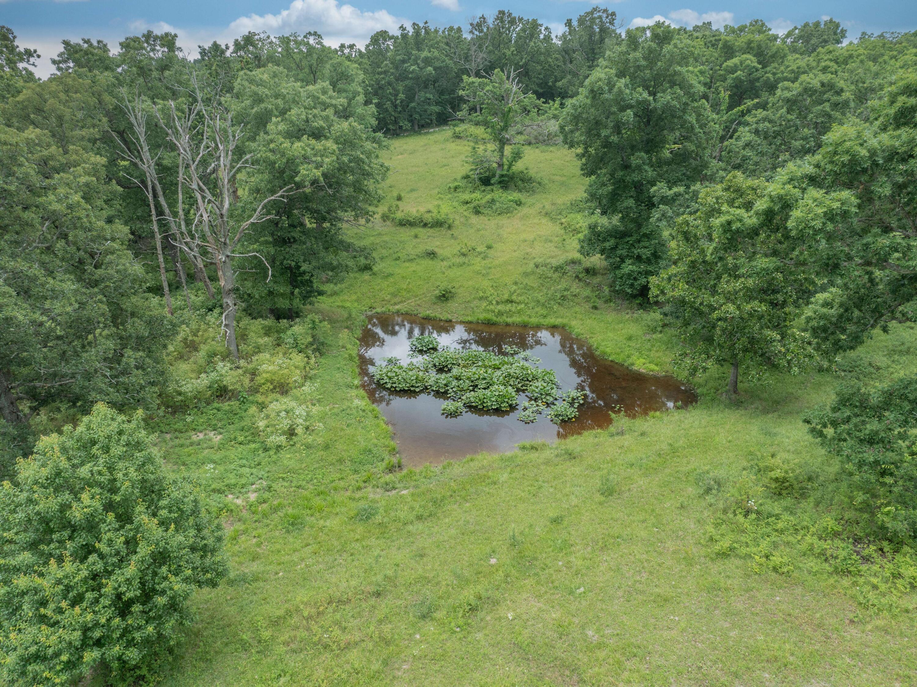 main property photo 69
