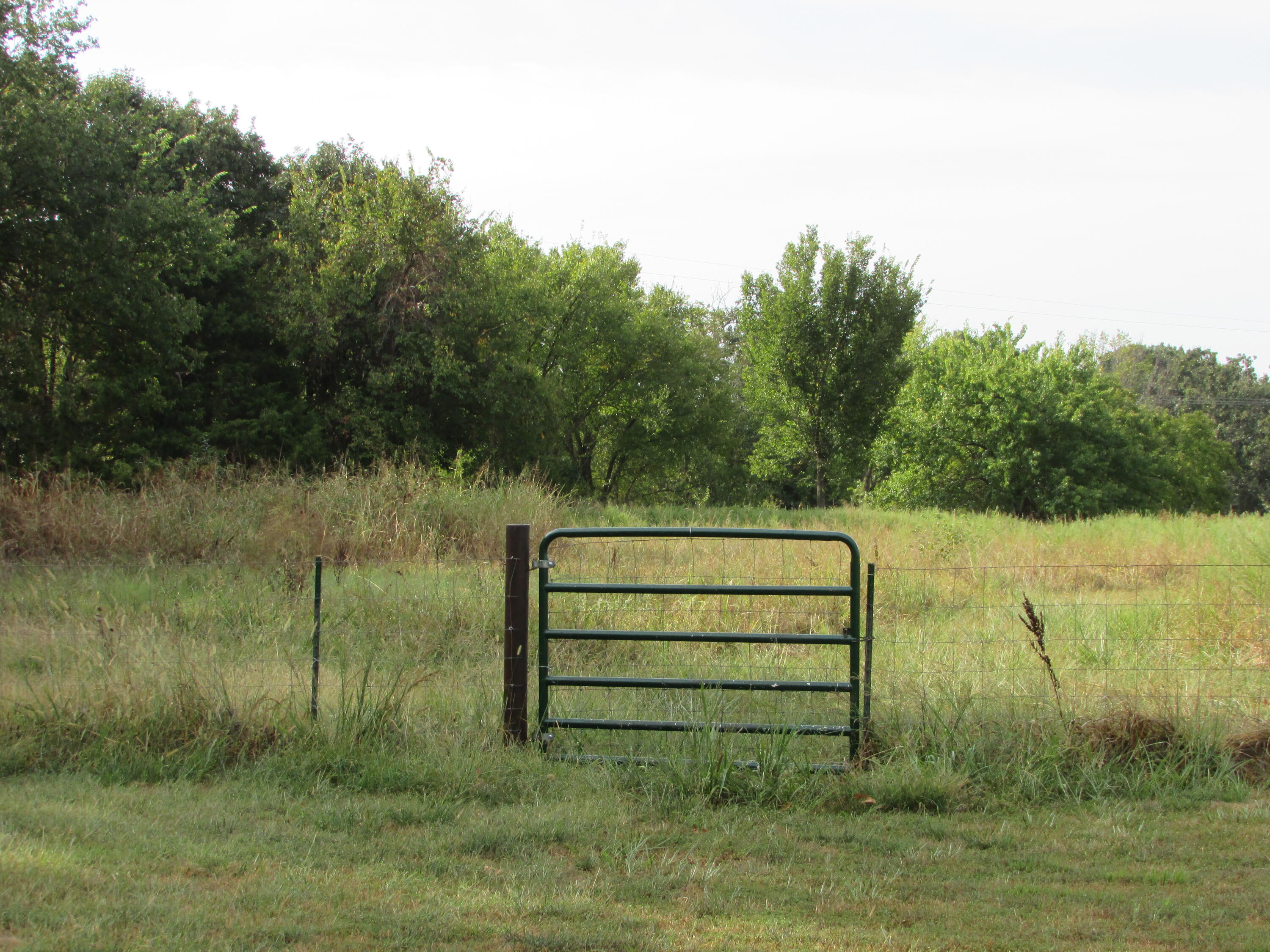 main property photo 17