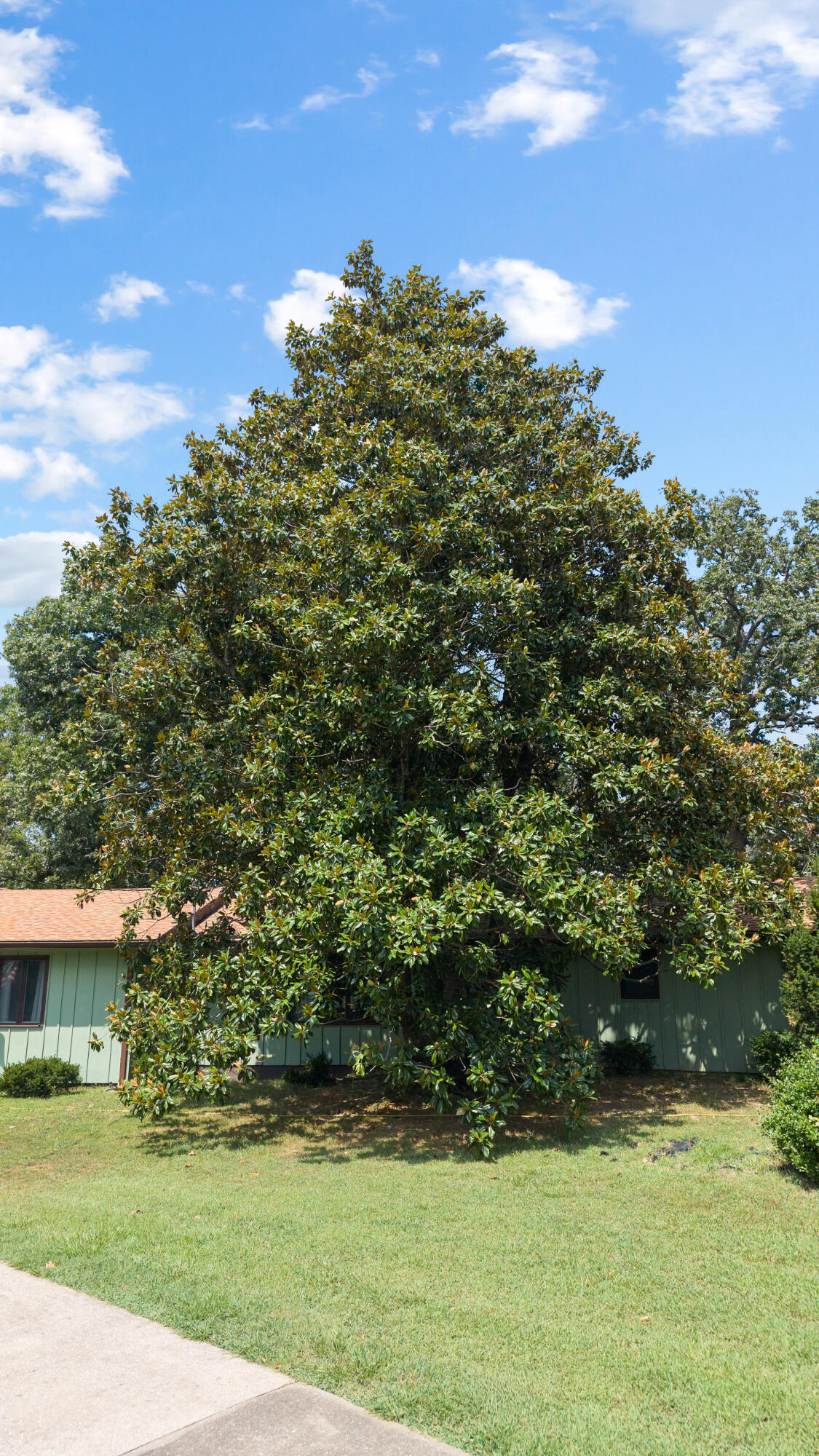 main property photo 24