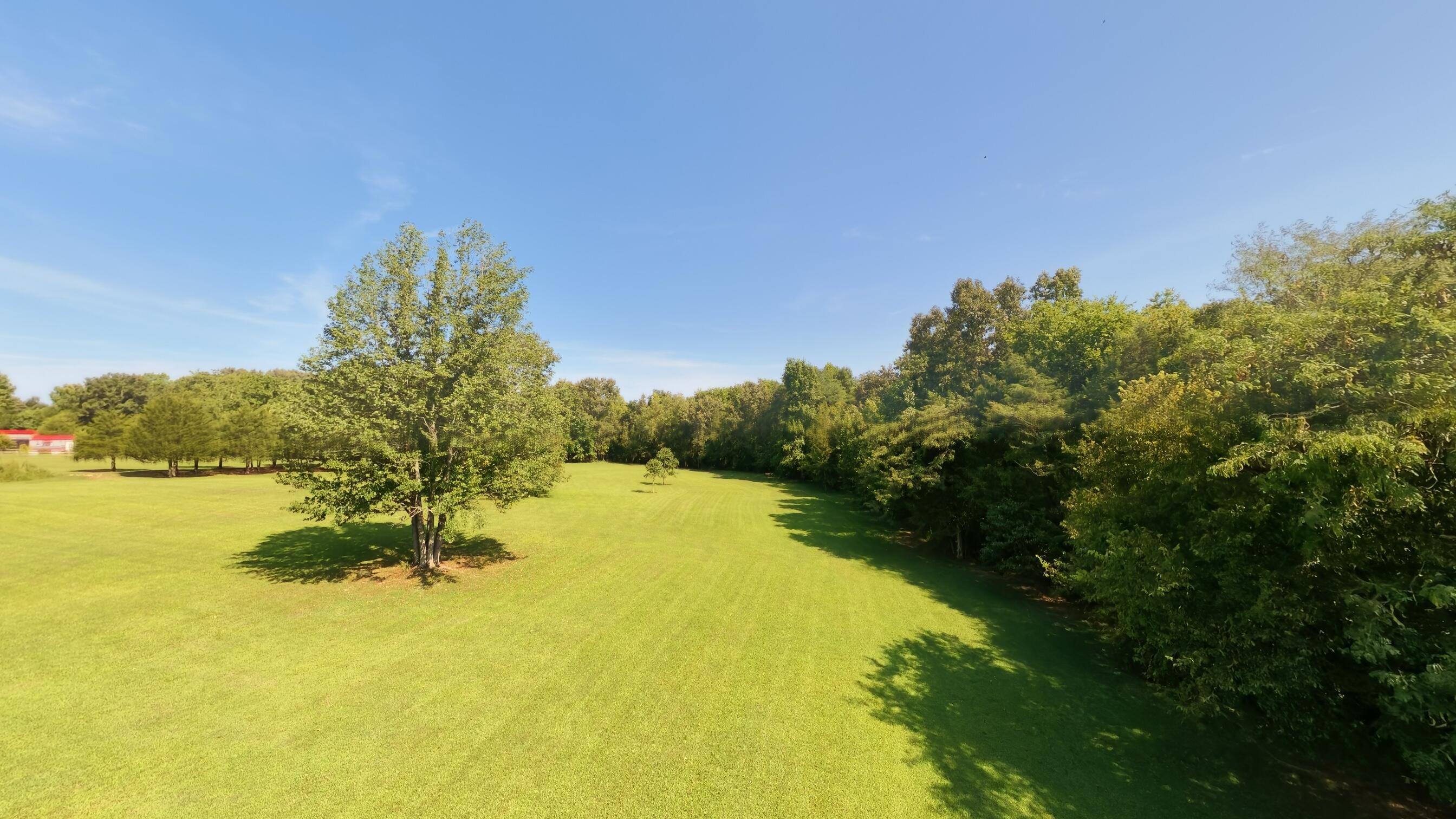 main property photo 64