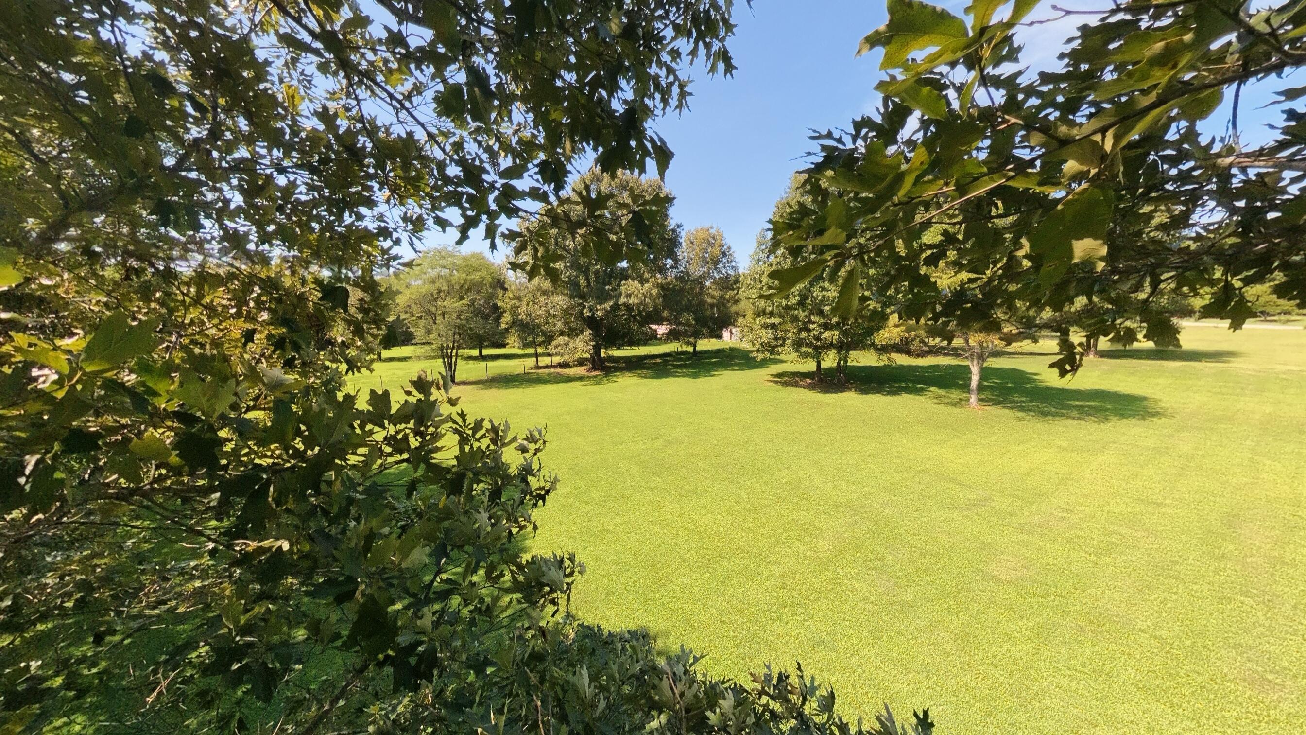 main property photo 71