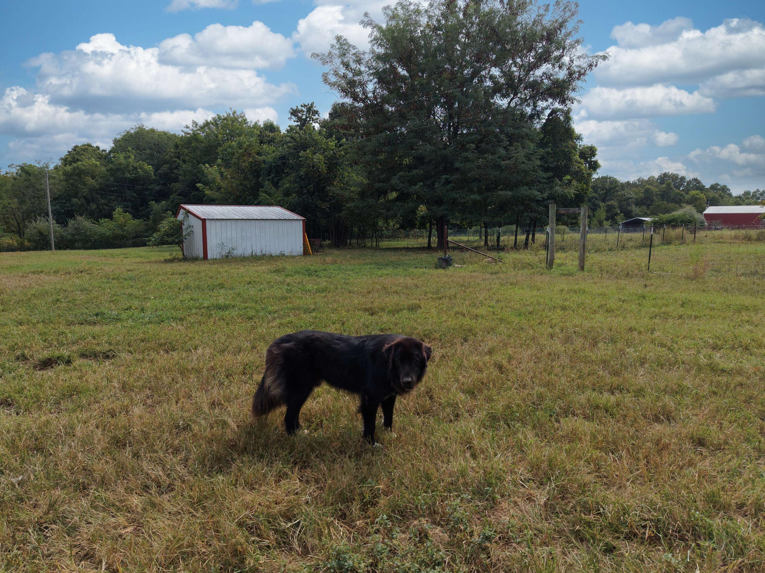 main property photo 72