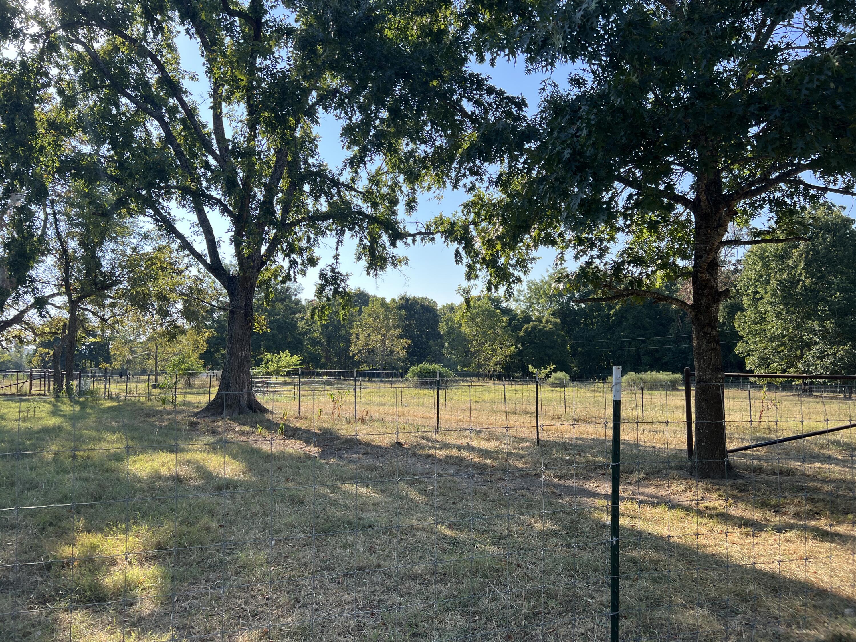 main property photo 79