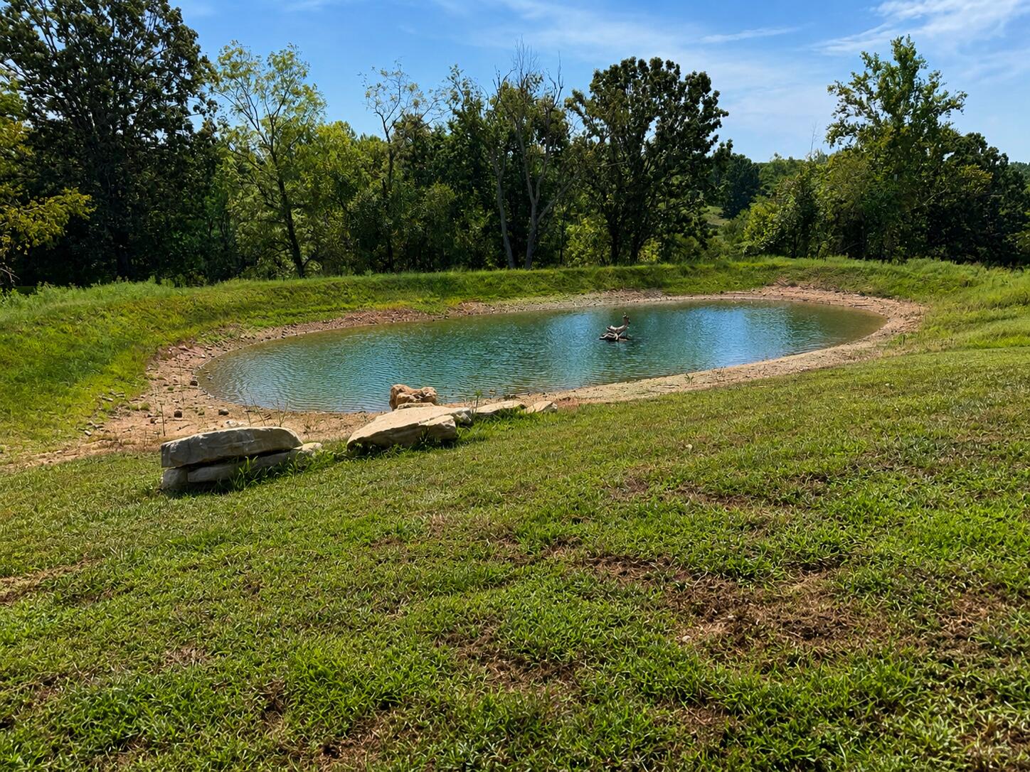 main property photo 4