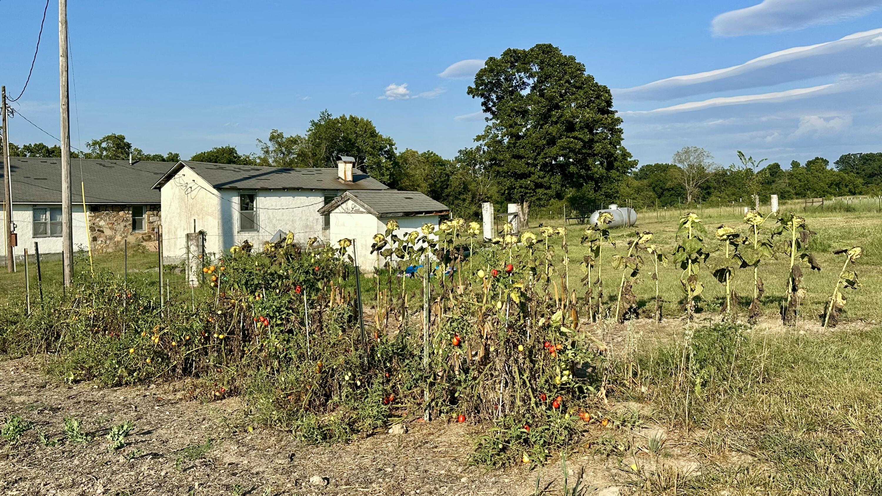 main property photo 24