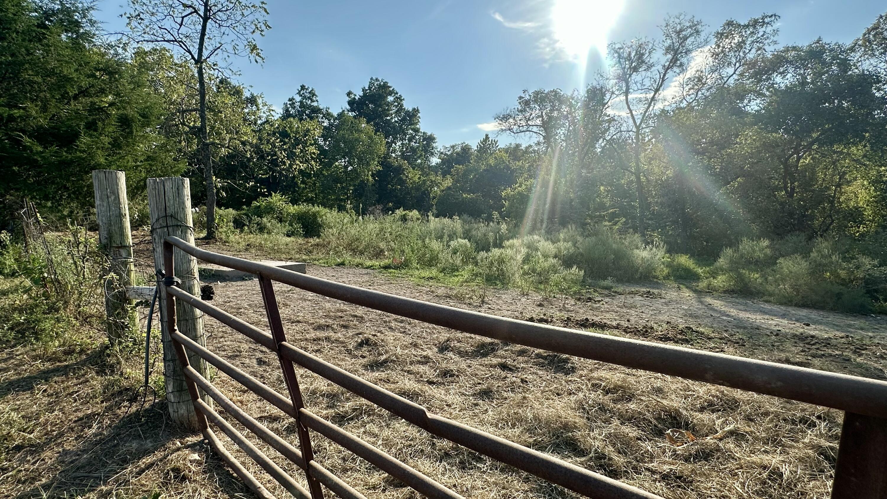 main property photo 33
