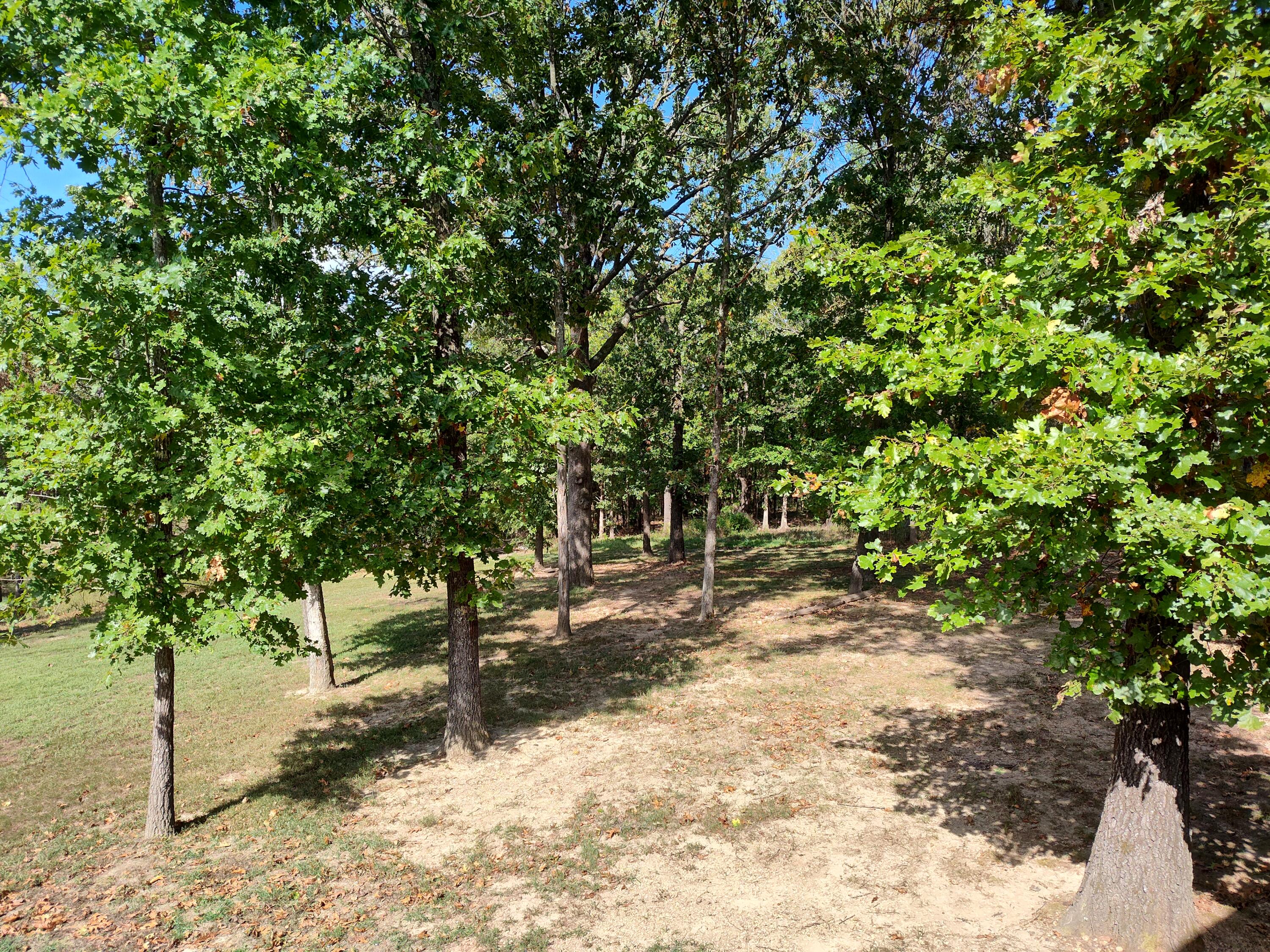 main property photo 37