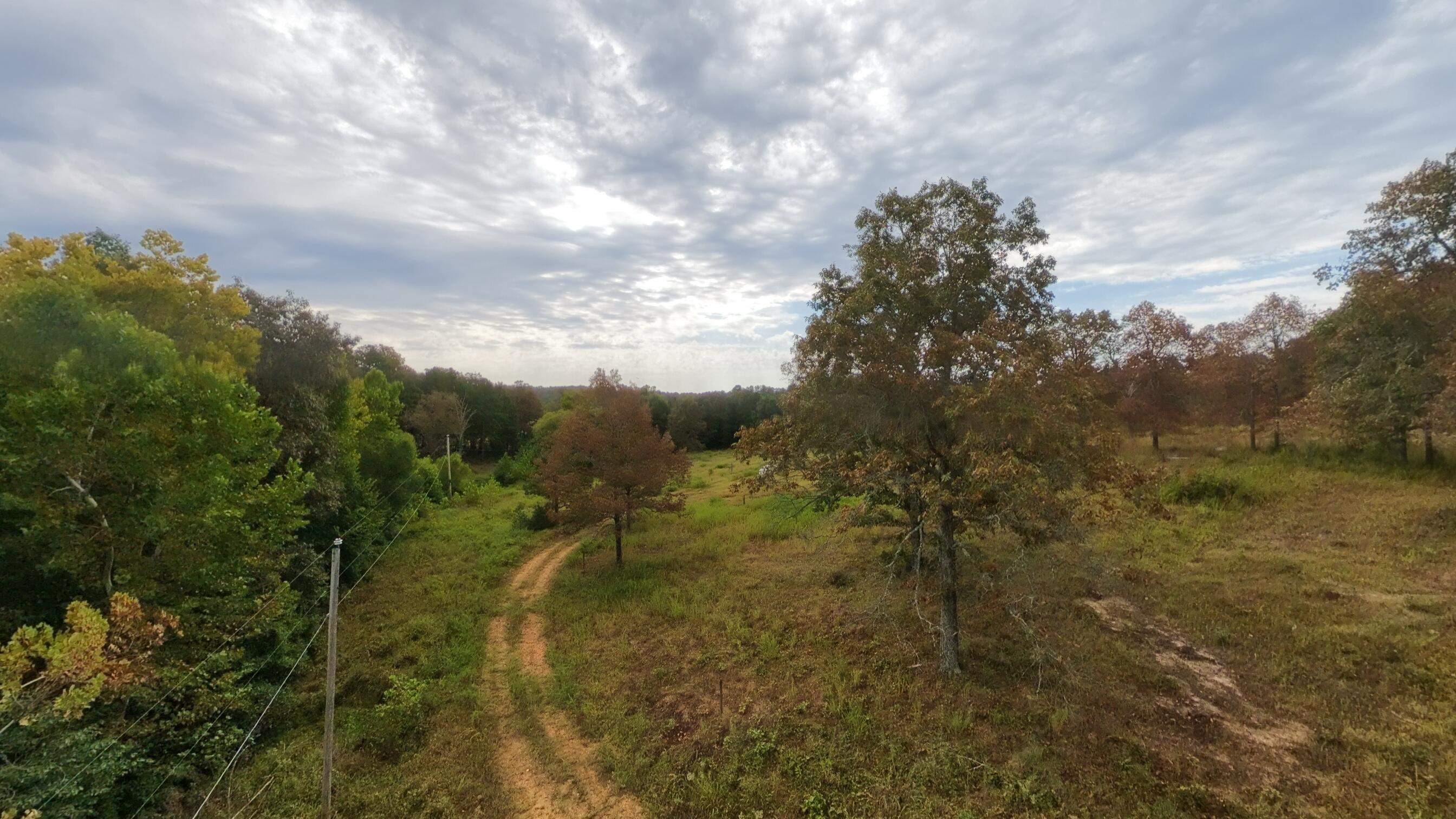 main property photo 43