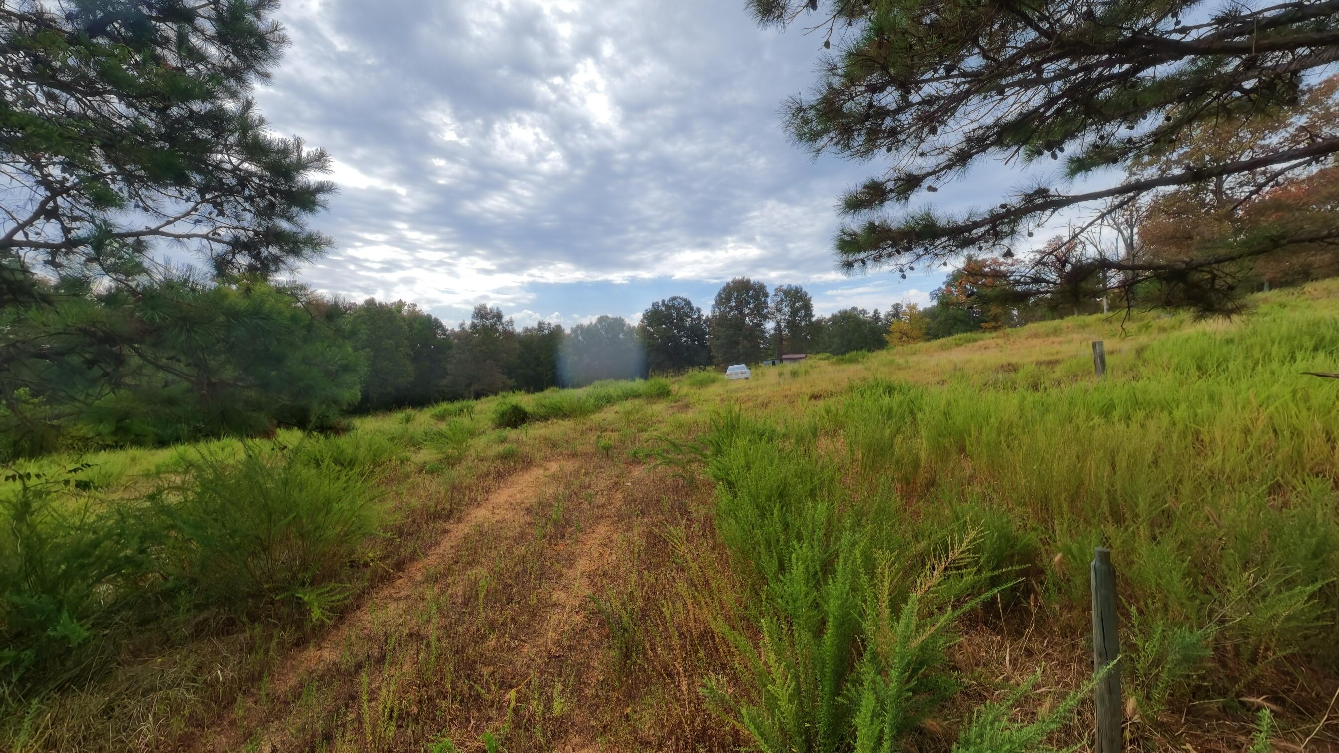 main property photo 45