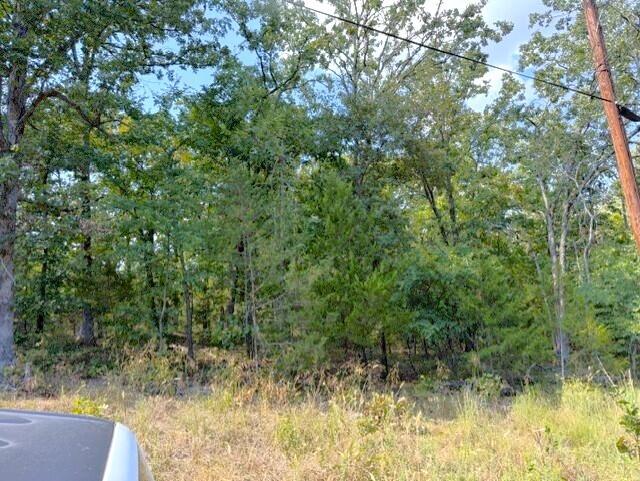 main property photo 12