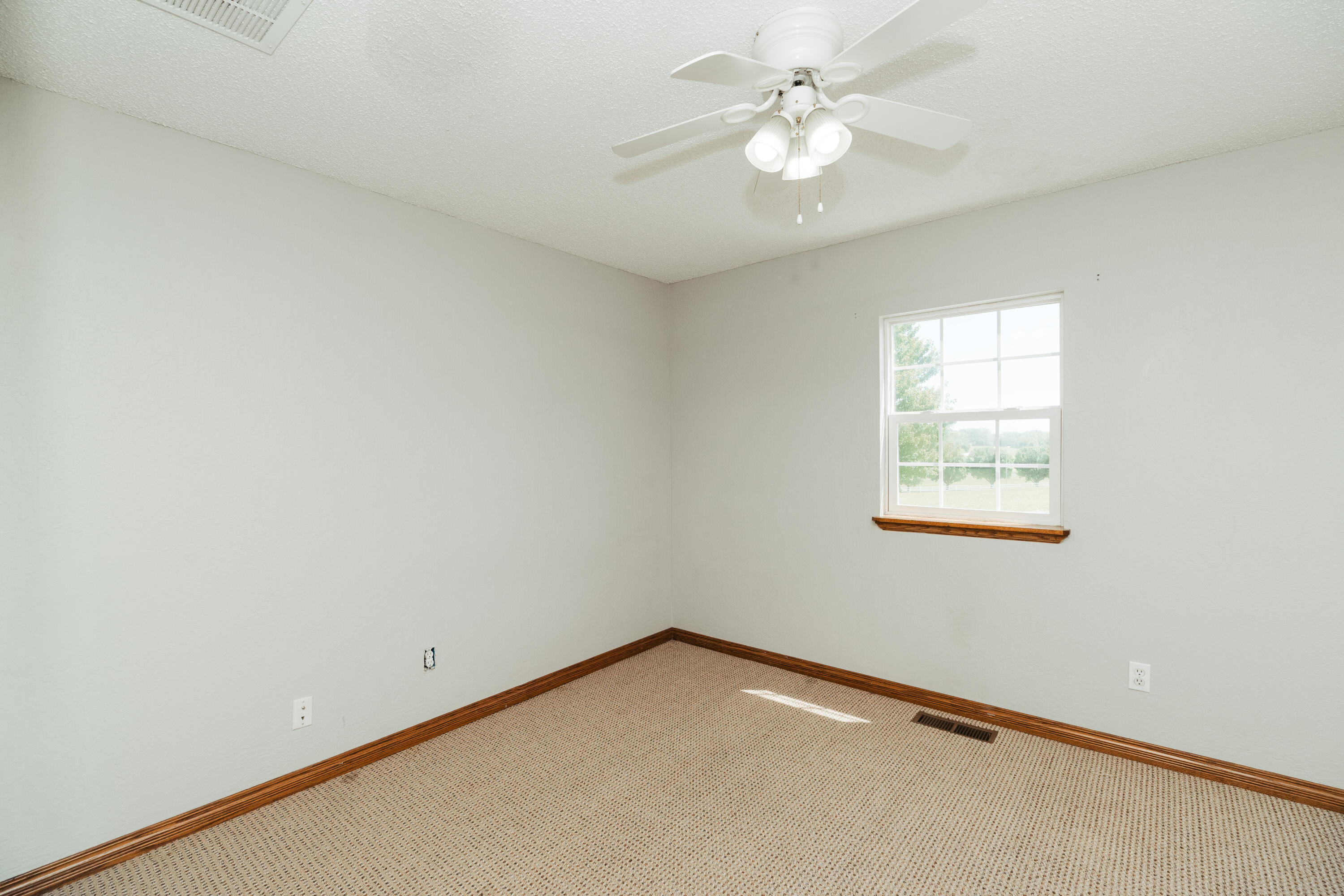 main property photo 98