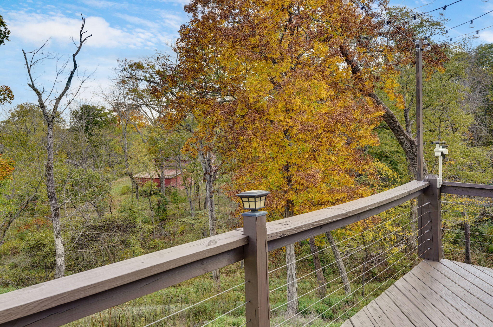 main property photo 53
