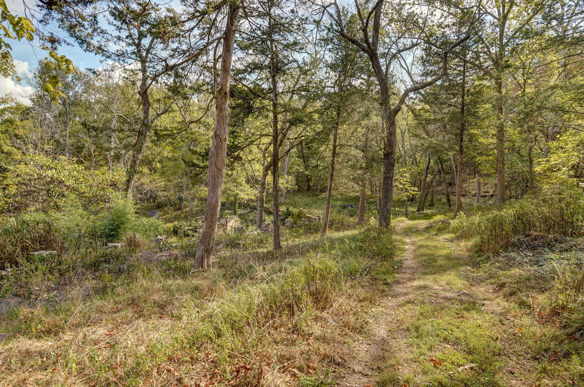 main property photo 77