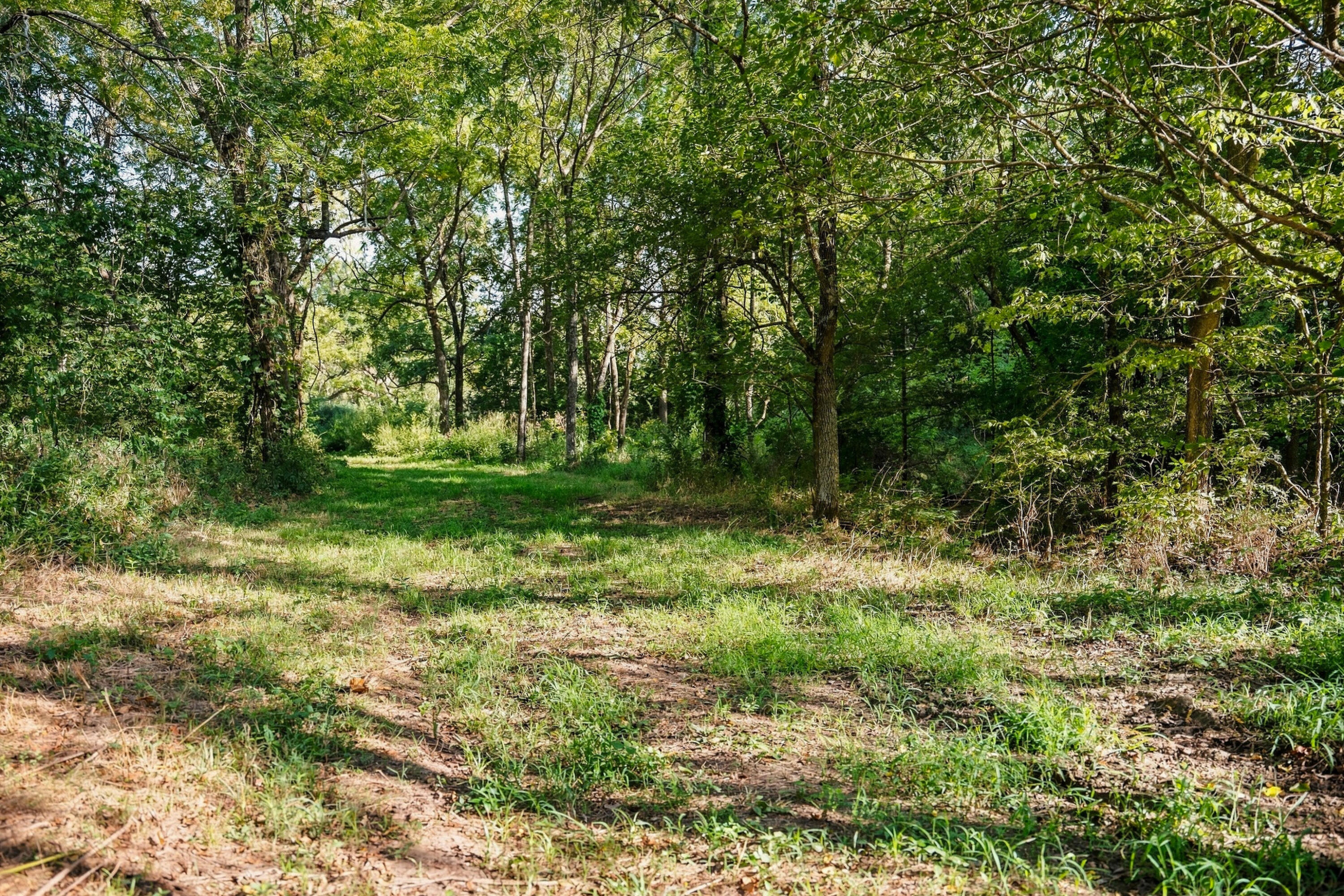 main property photo 157