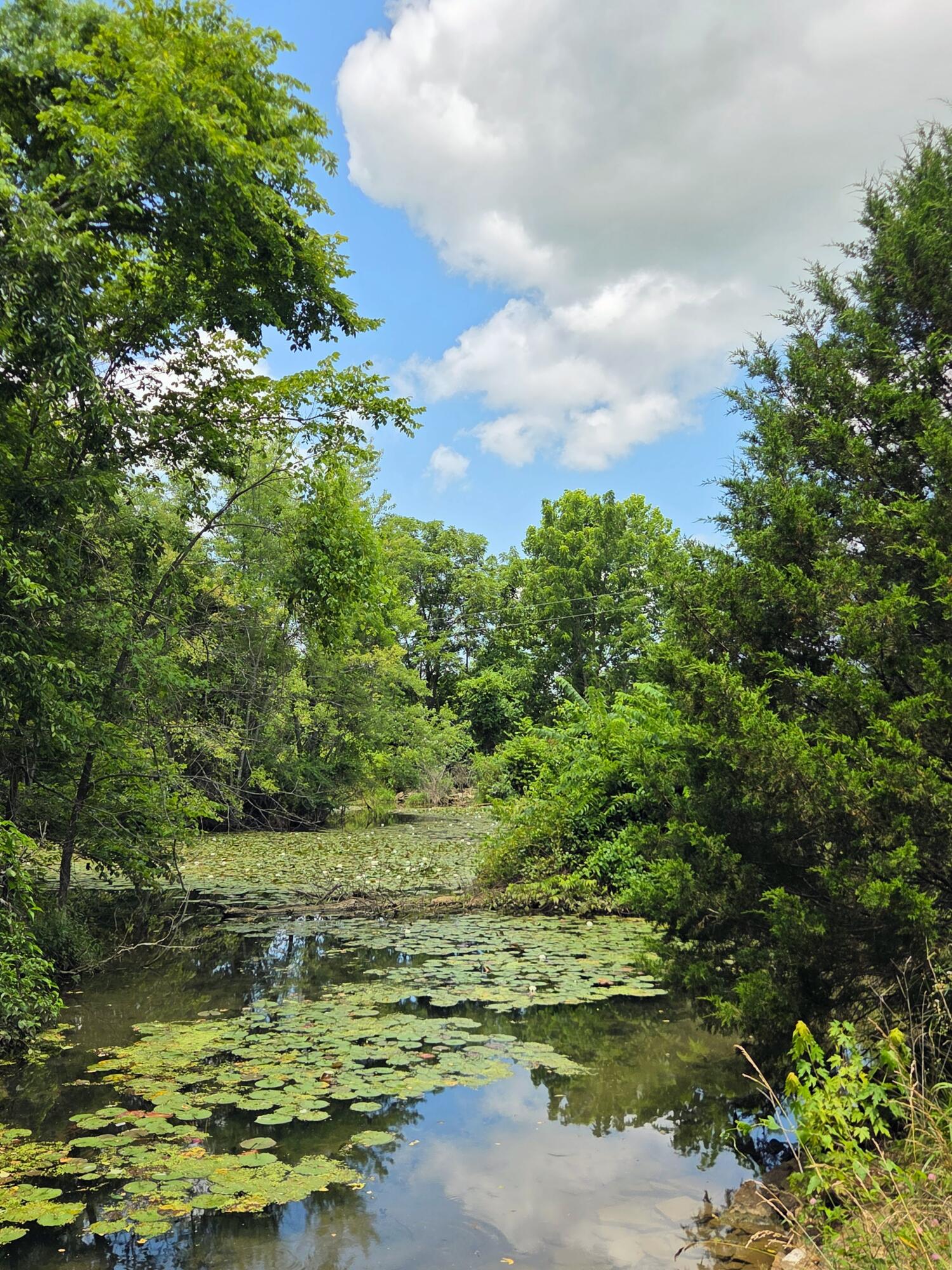 main property photo 30