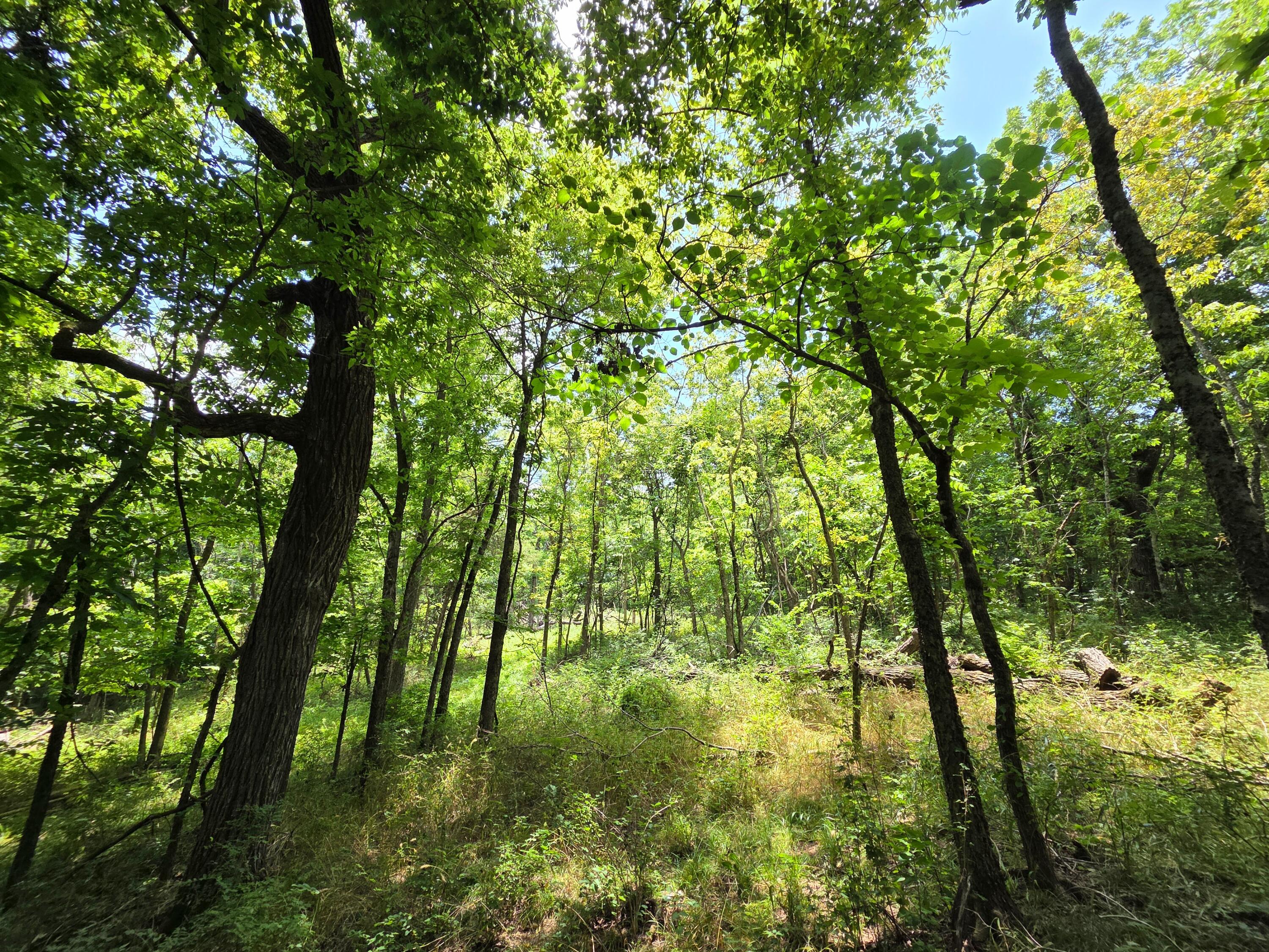 main property photo 35