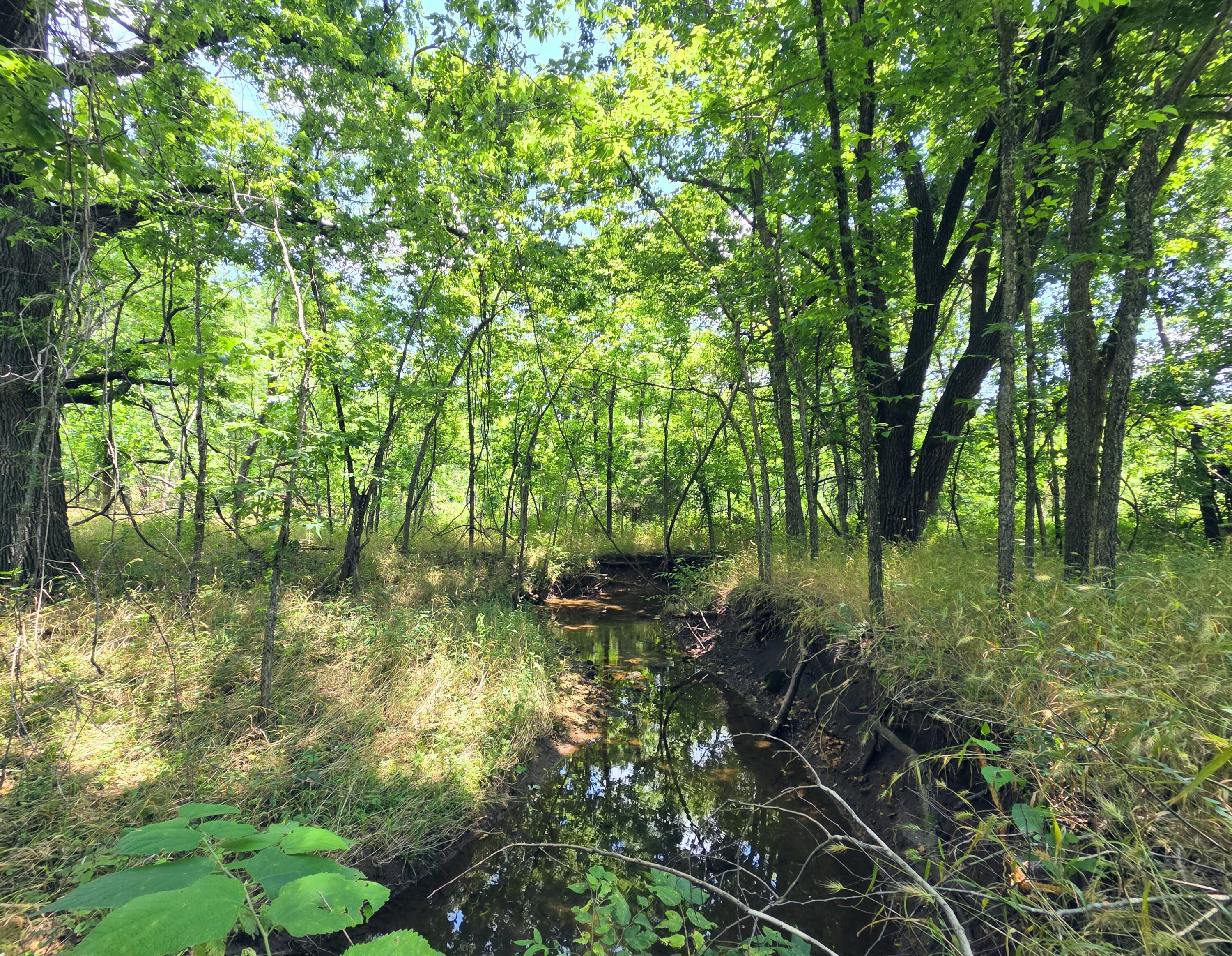 main property photo 37