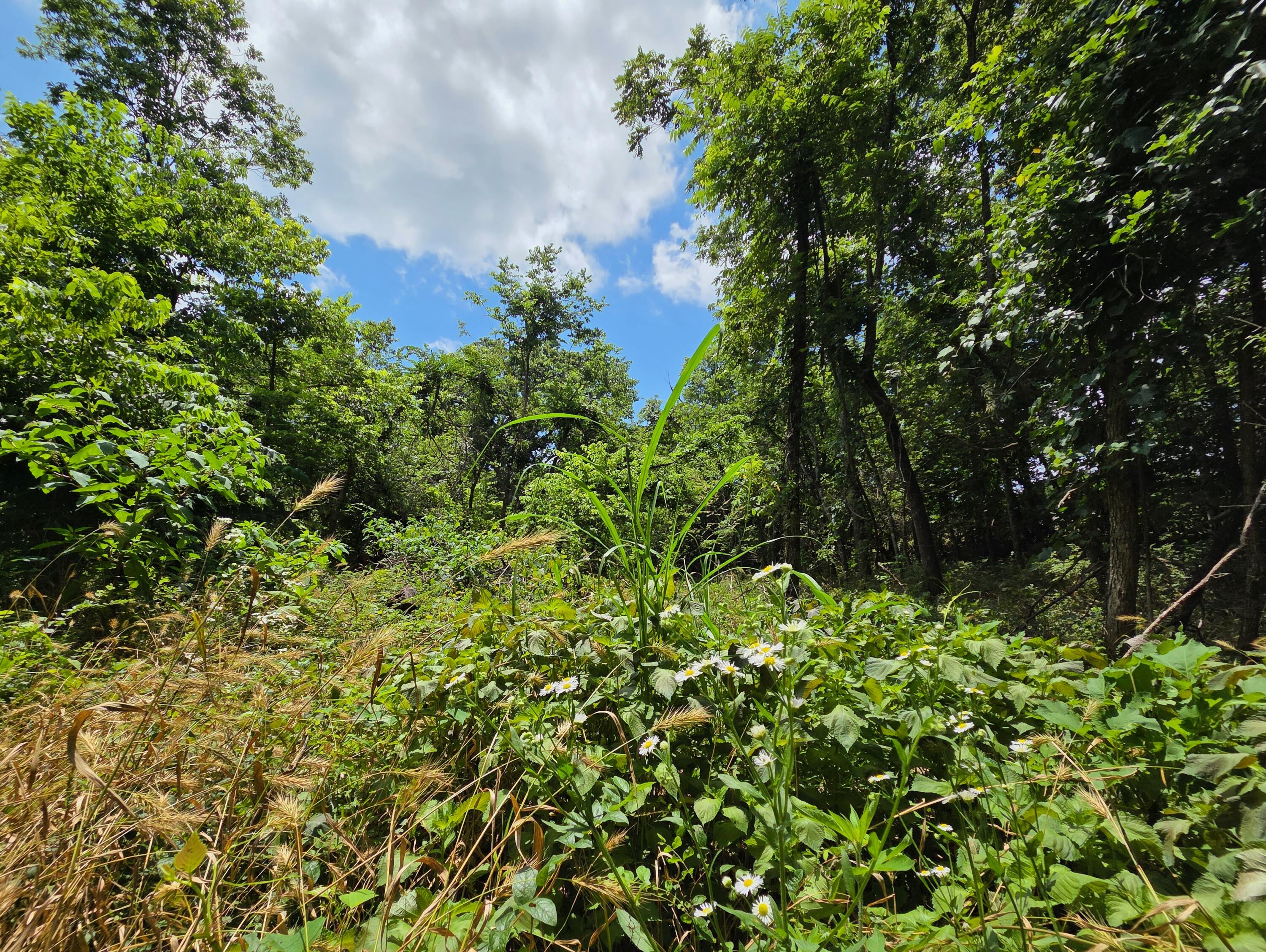 main property photo 38