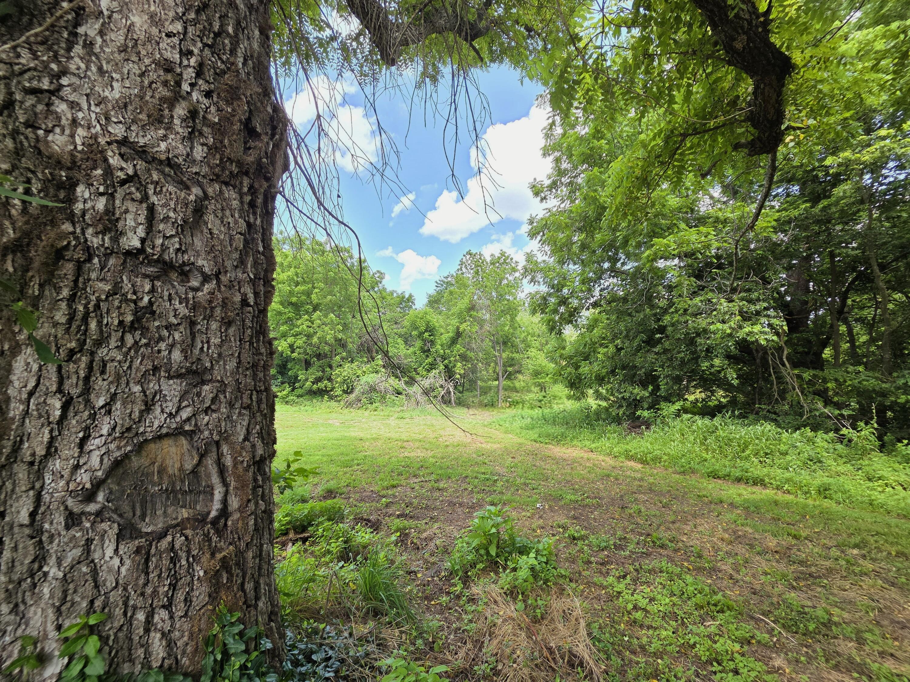 main property photo 42
