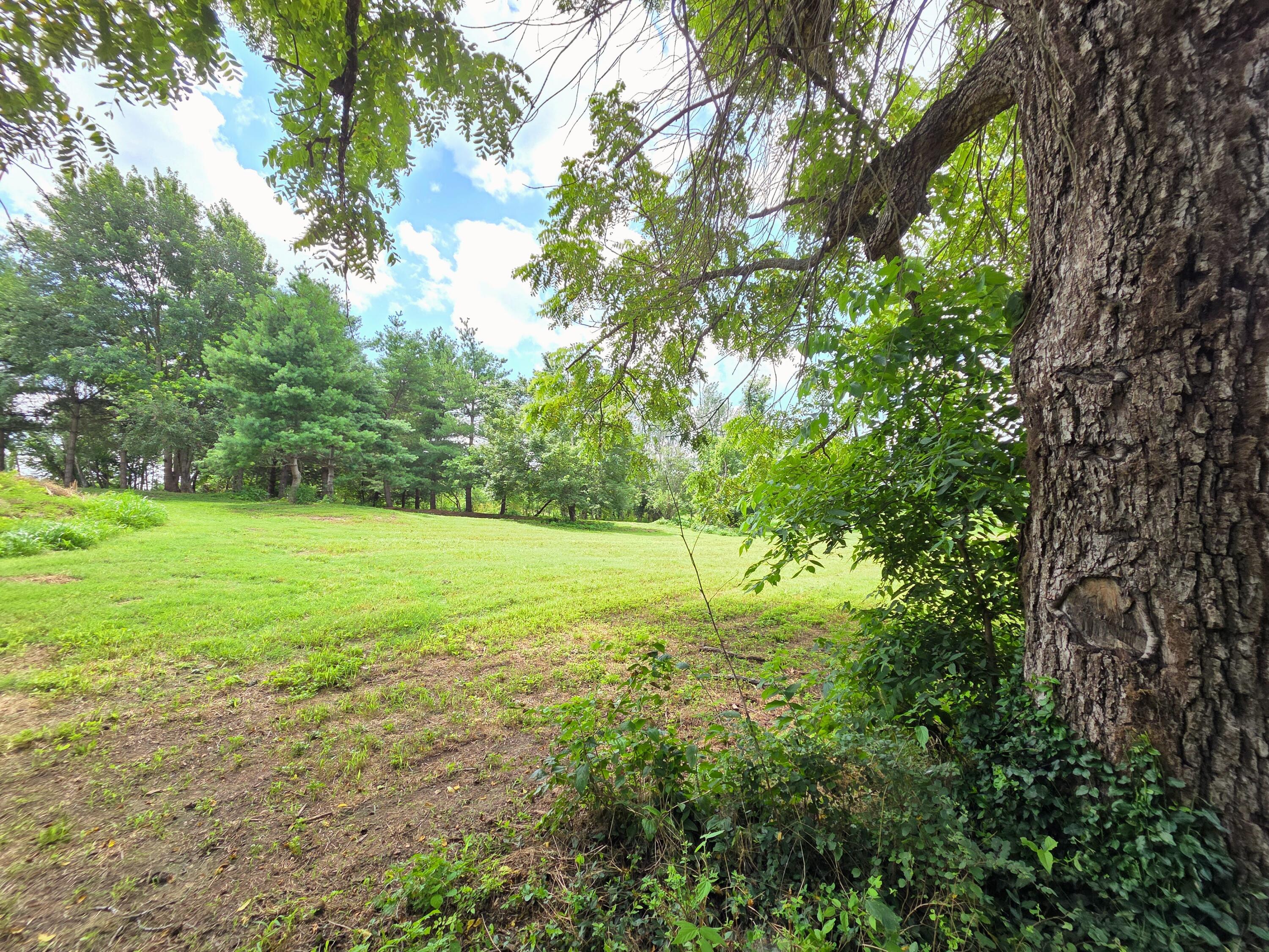 main property photo 43