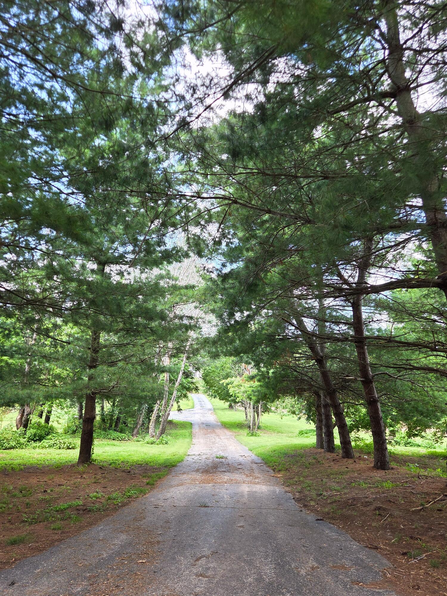 main property photo 51