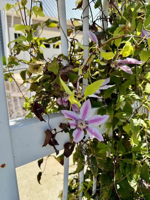 main property photo 57