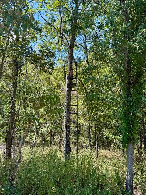 main property photo 68