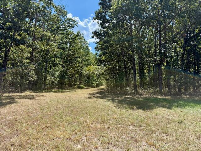 main property photo 72